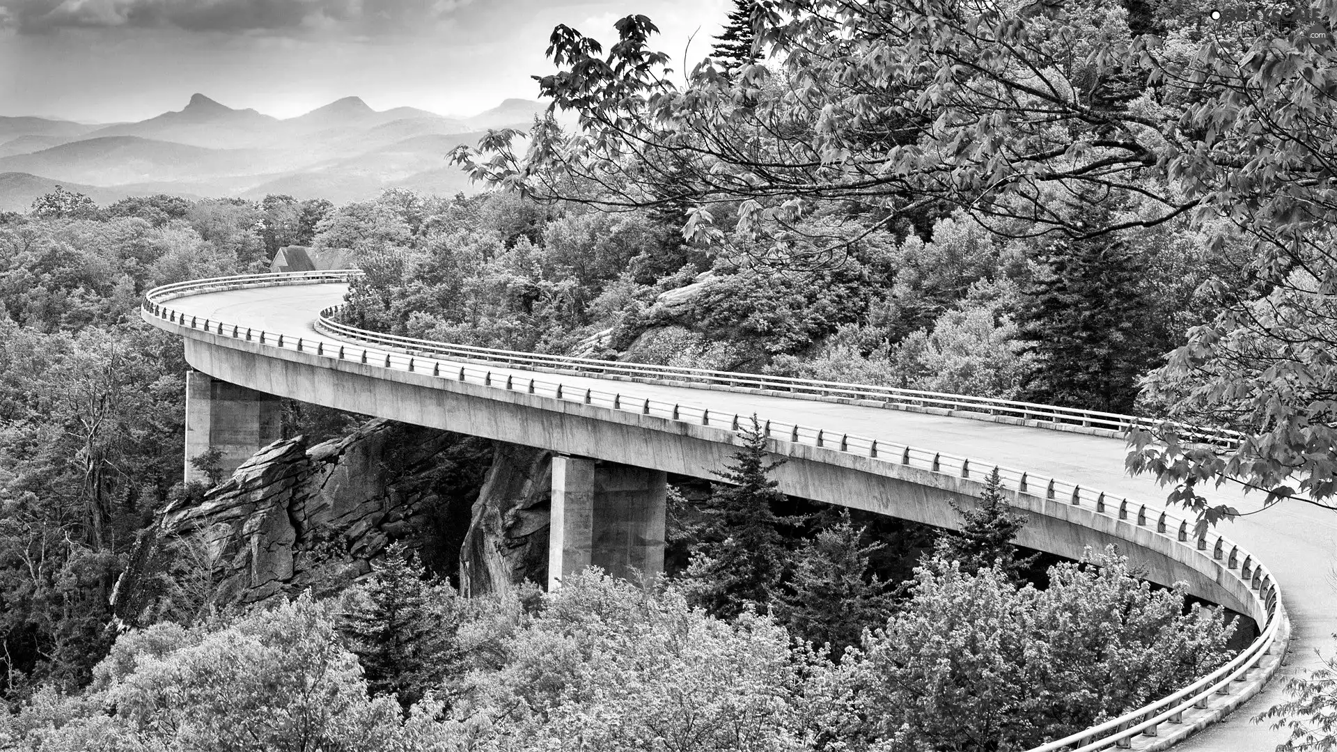 bridge, trees, viewes, Way