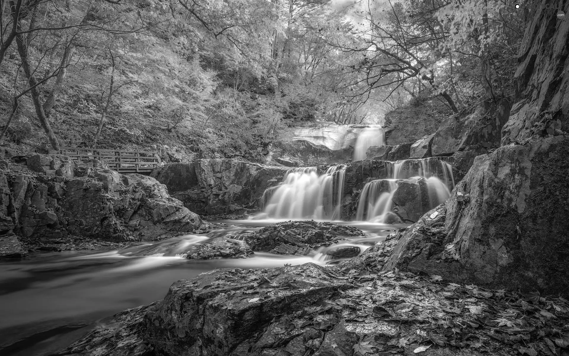 rocks, autumn, bridges, trees, Leaf, River, waterfall, viewes