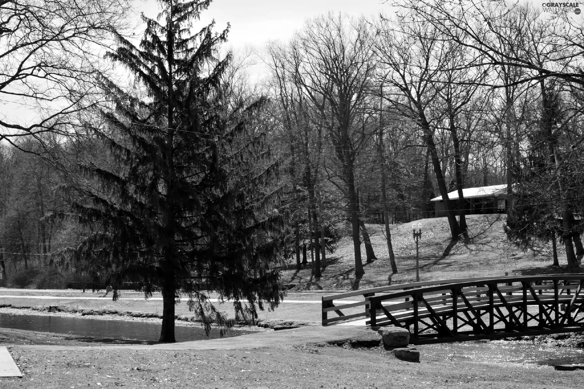 bridges, trees, viewes, River