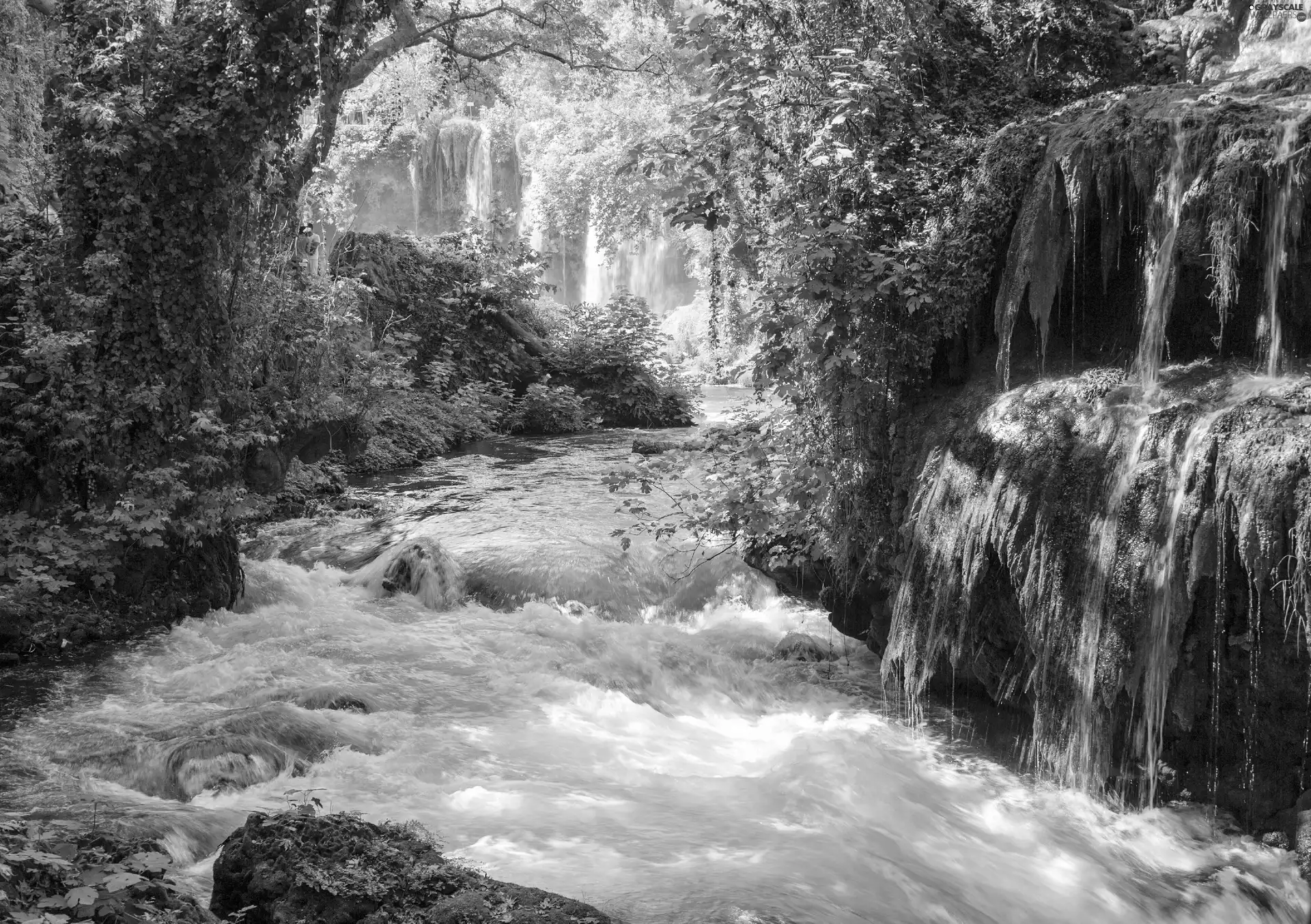 River, waterfall, viewes, Bush, trees, rocks