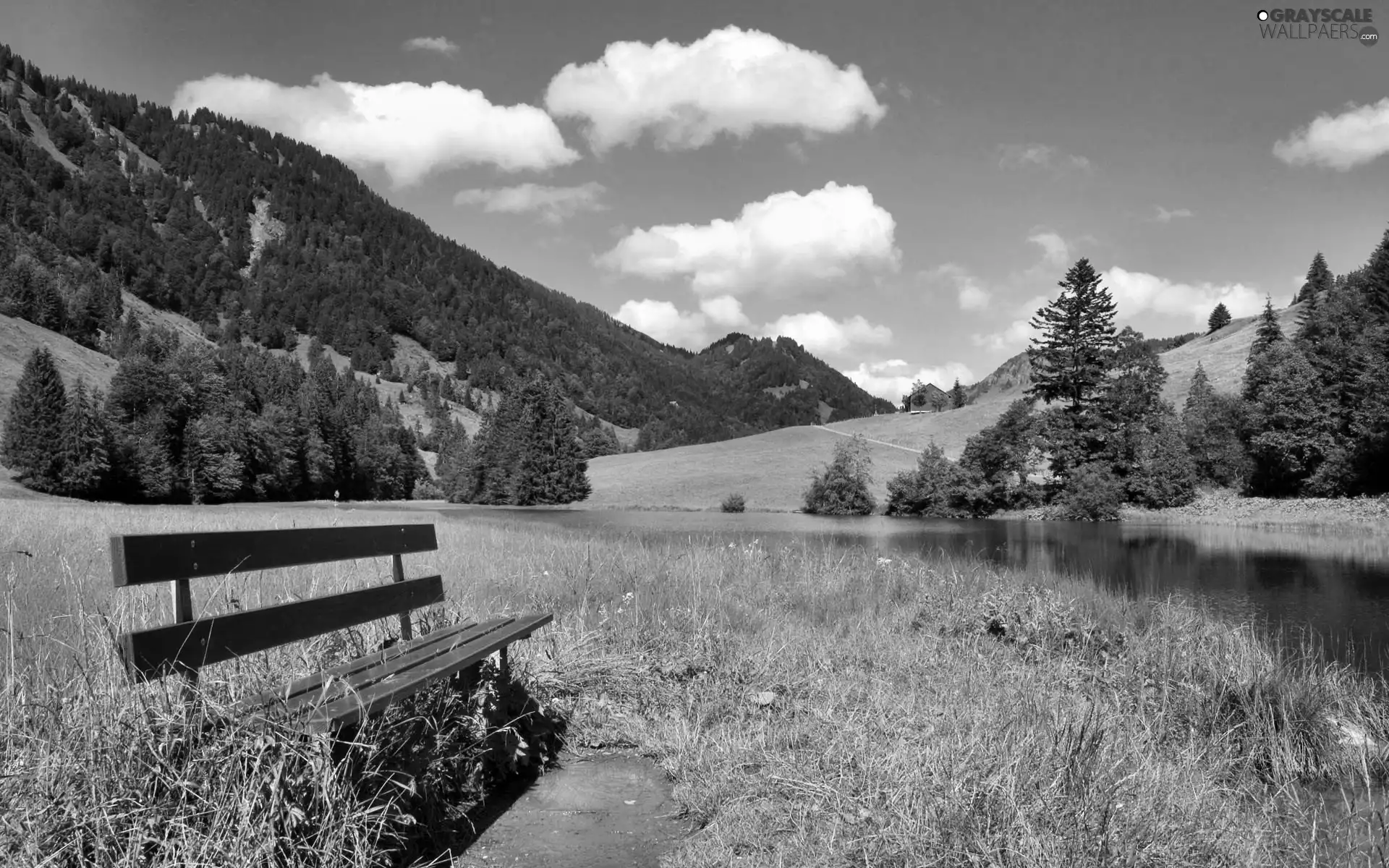 viewes, The Hills, by, river, Bench, trees