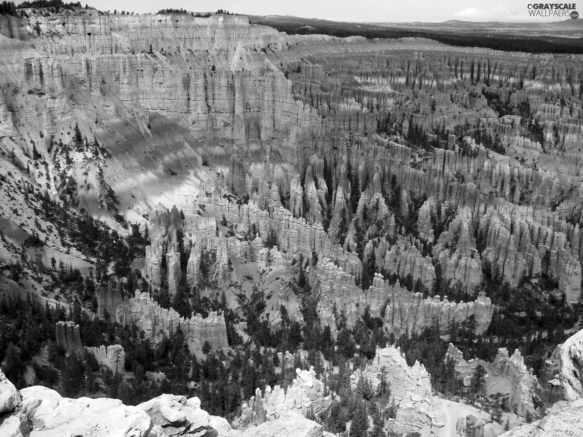 canyon, trees, viewes, rocks