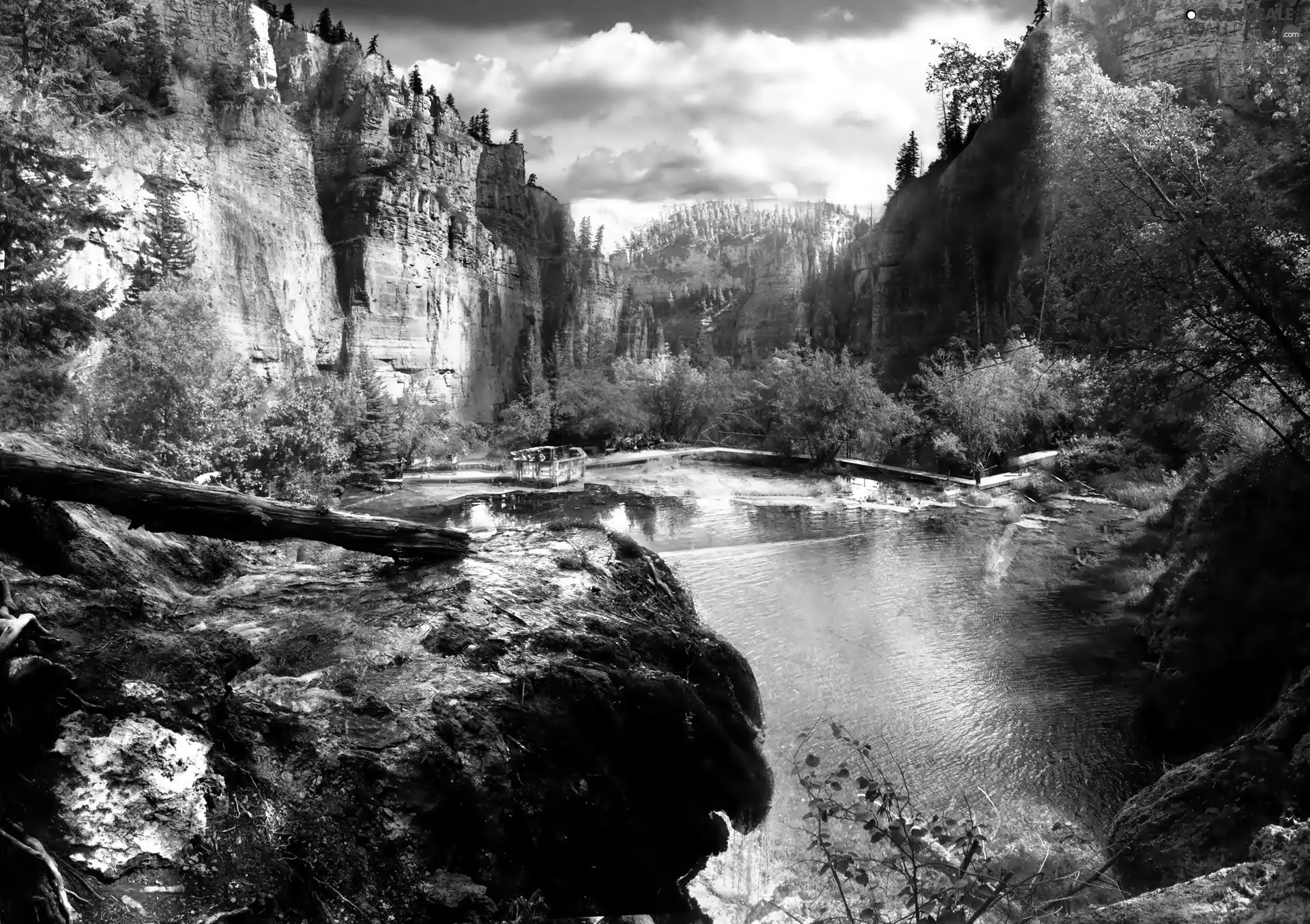 canyons, trees, viewes, lake