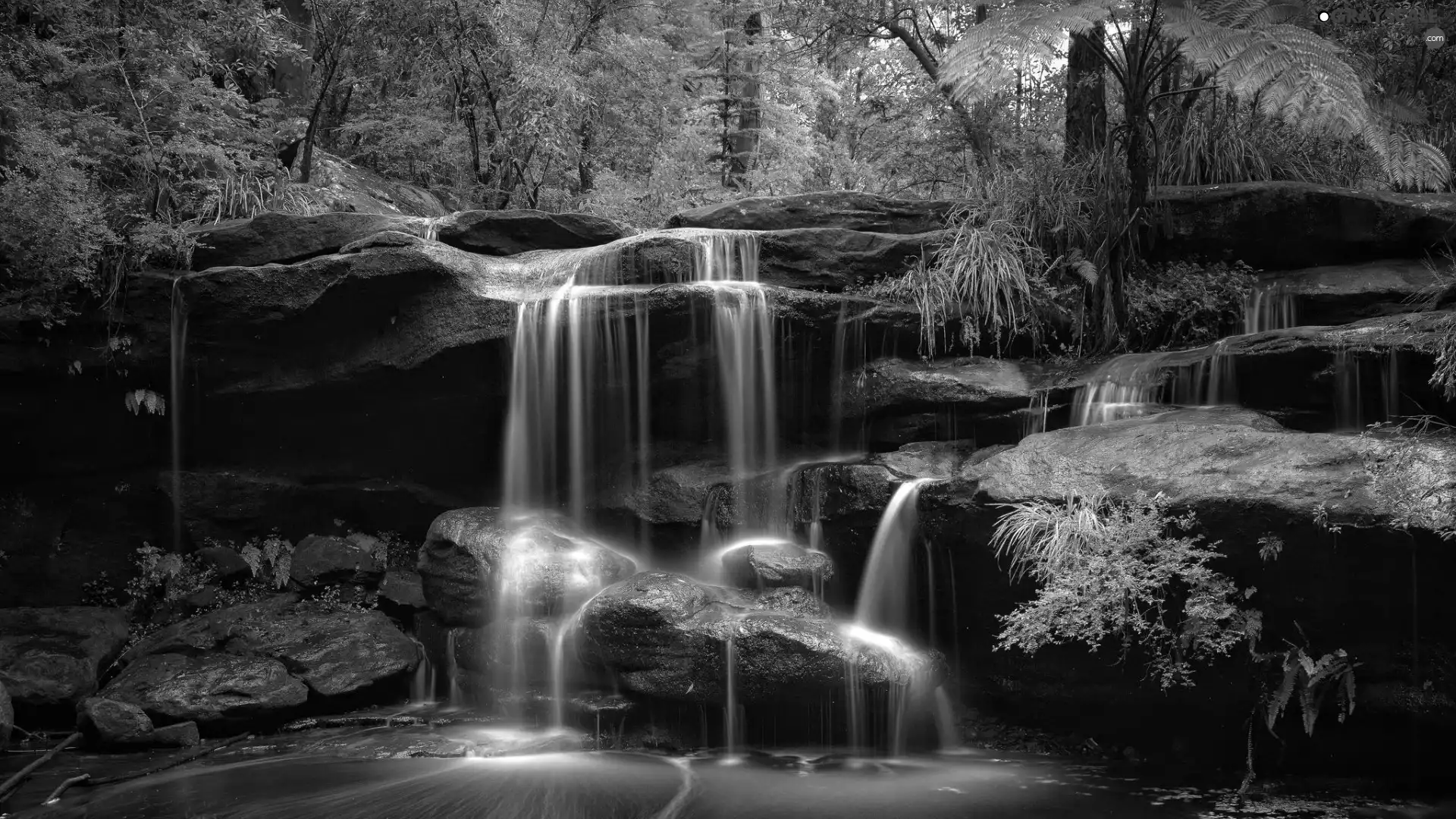 trees, viewes, cascade, rocks, waterfall