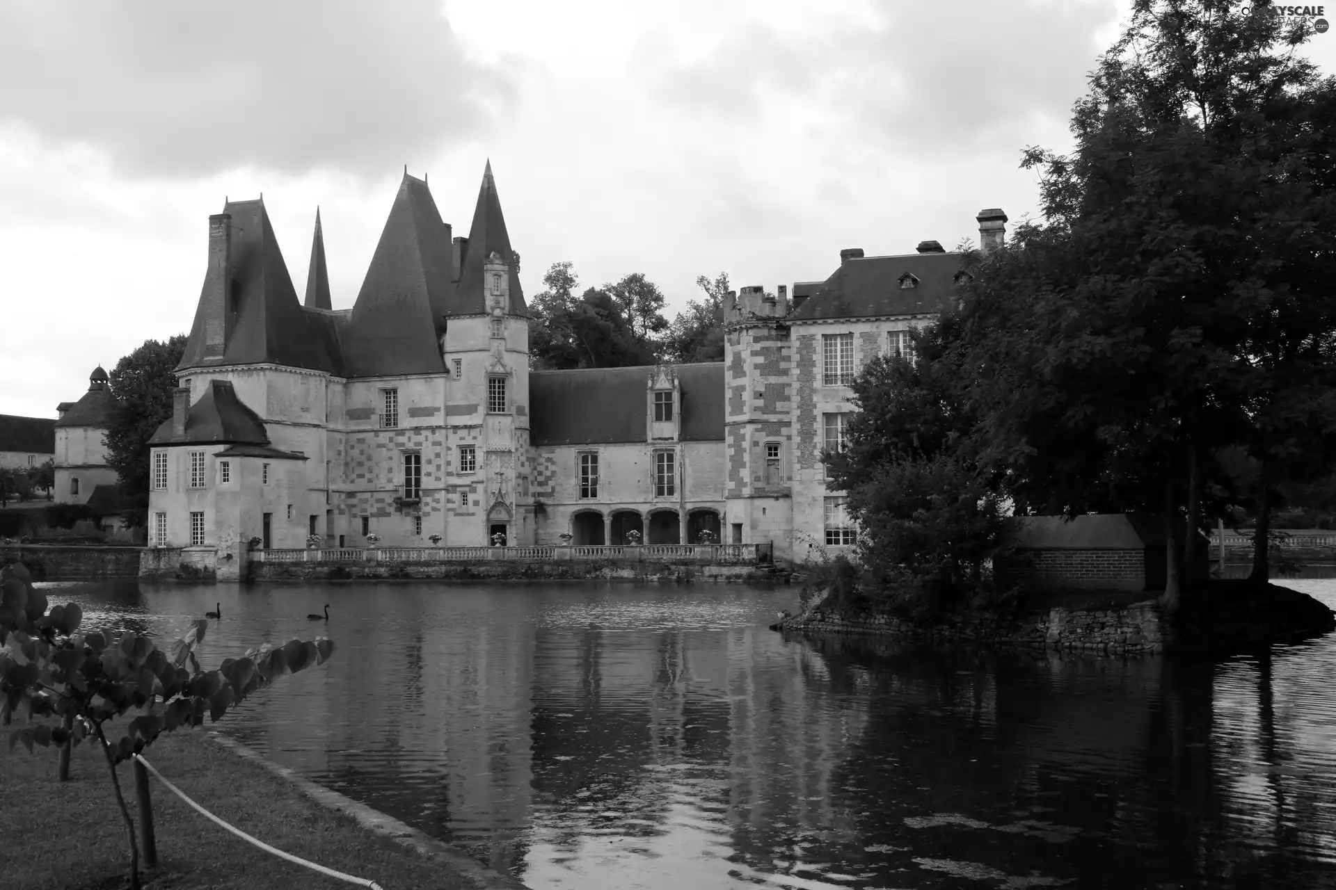 Castle, trees, viewes, water