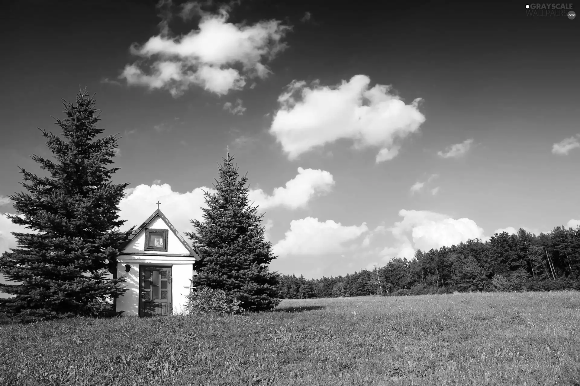 chapel, trees, viewes, Meadow