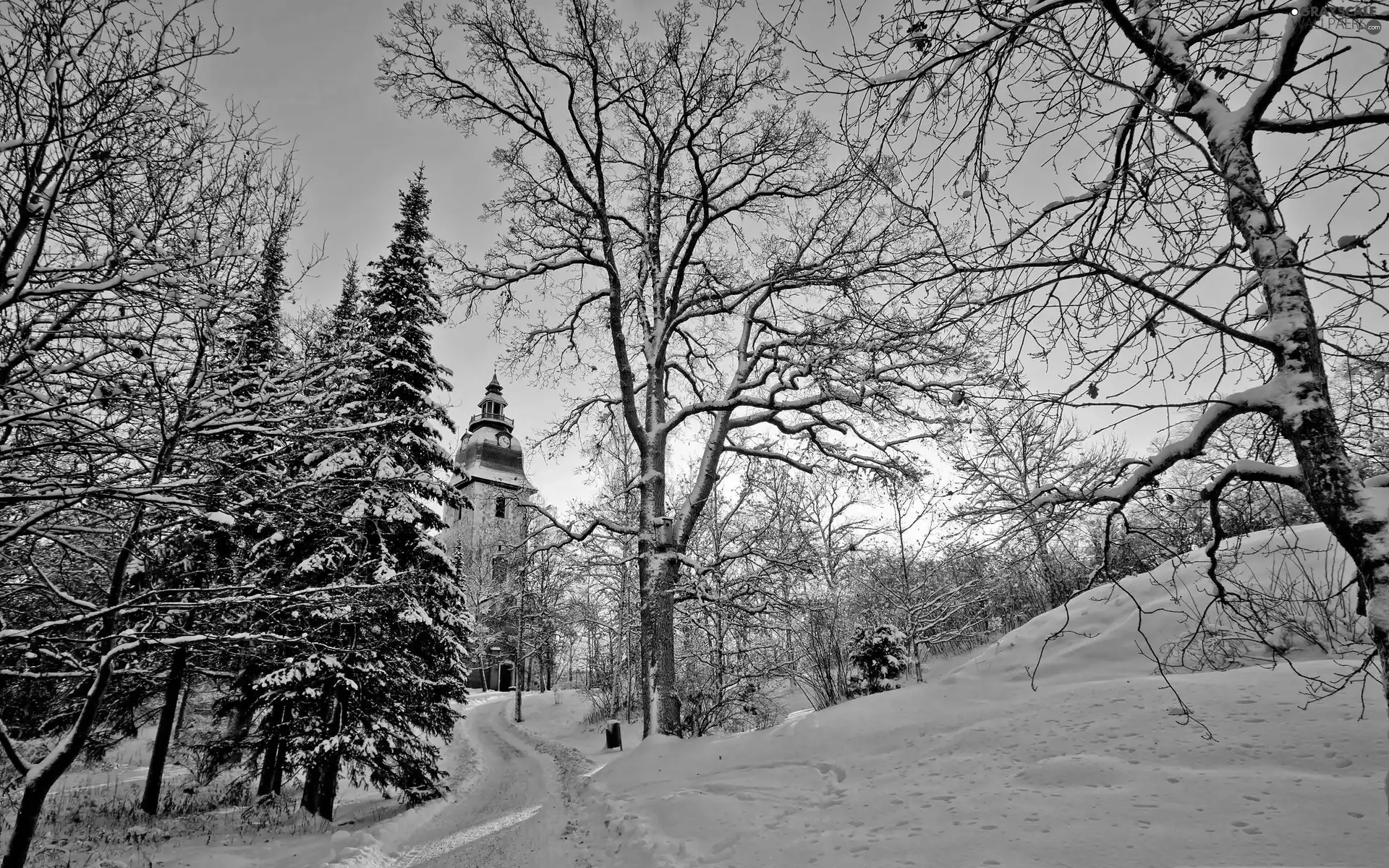 viewes, Church, Snowy, trees, dawn