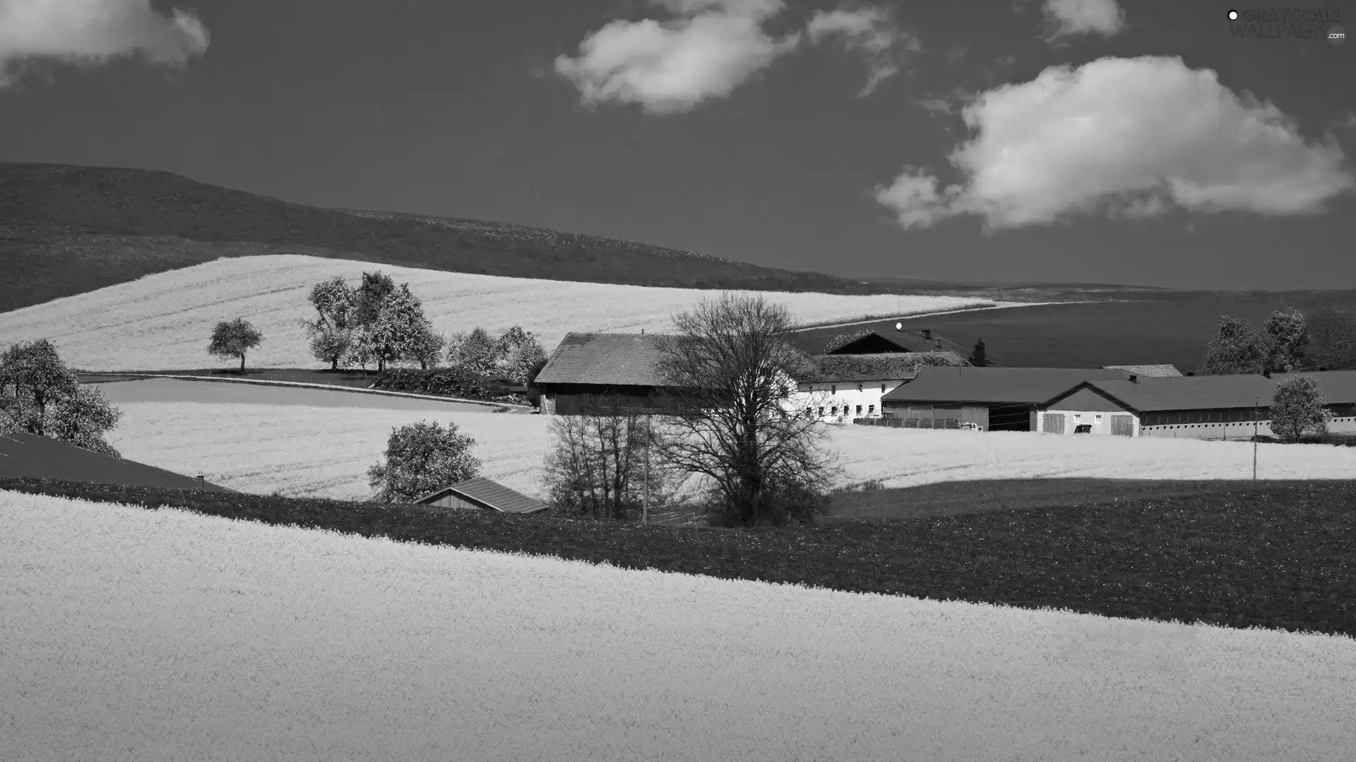 viewes, clouds, buildings, trees, field