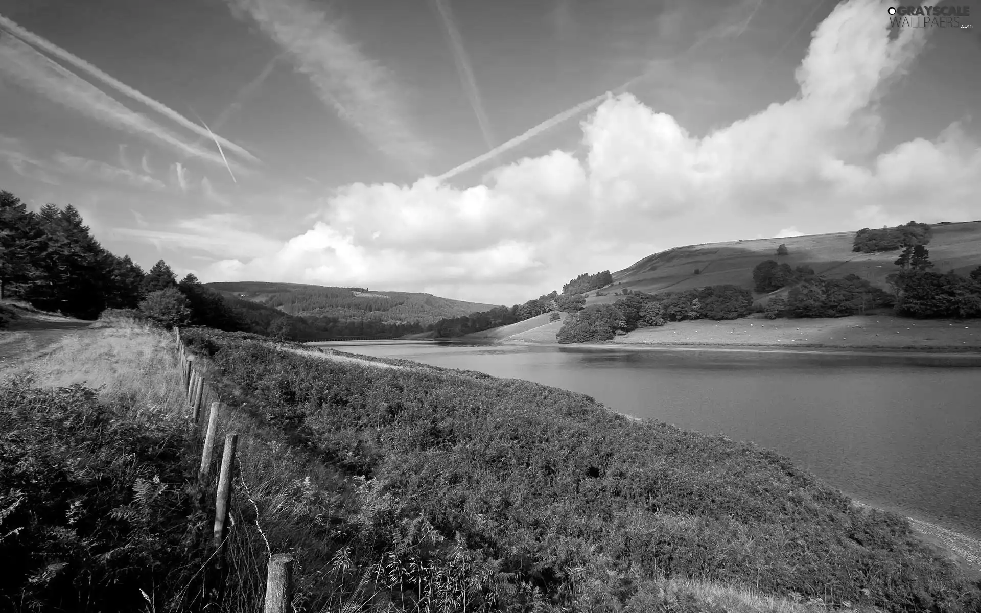 viewes, clouds, River, trees, field