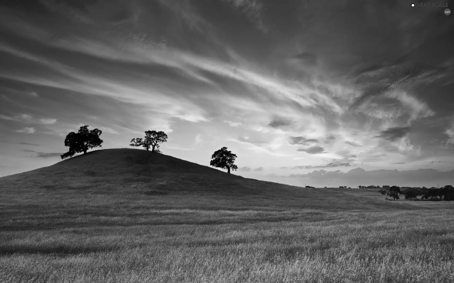 viewes, clouds, Meadow, trees, mountains