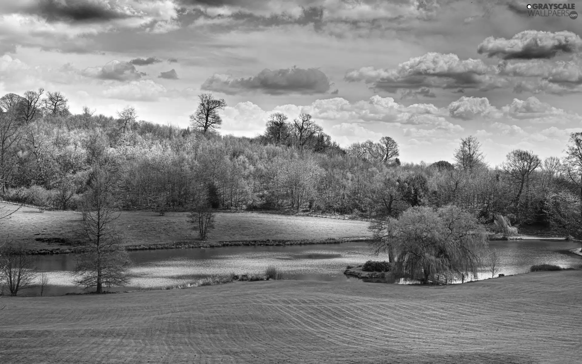 viewes, clouds, Meadow, trees, River