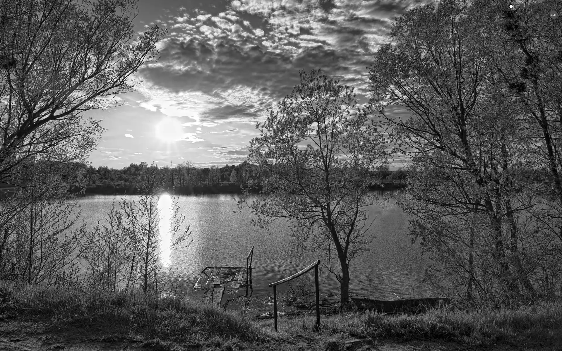 clouds, trees, viewes, lake