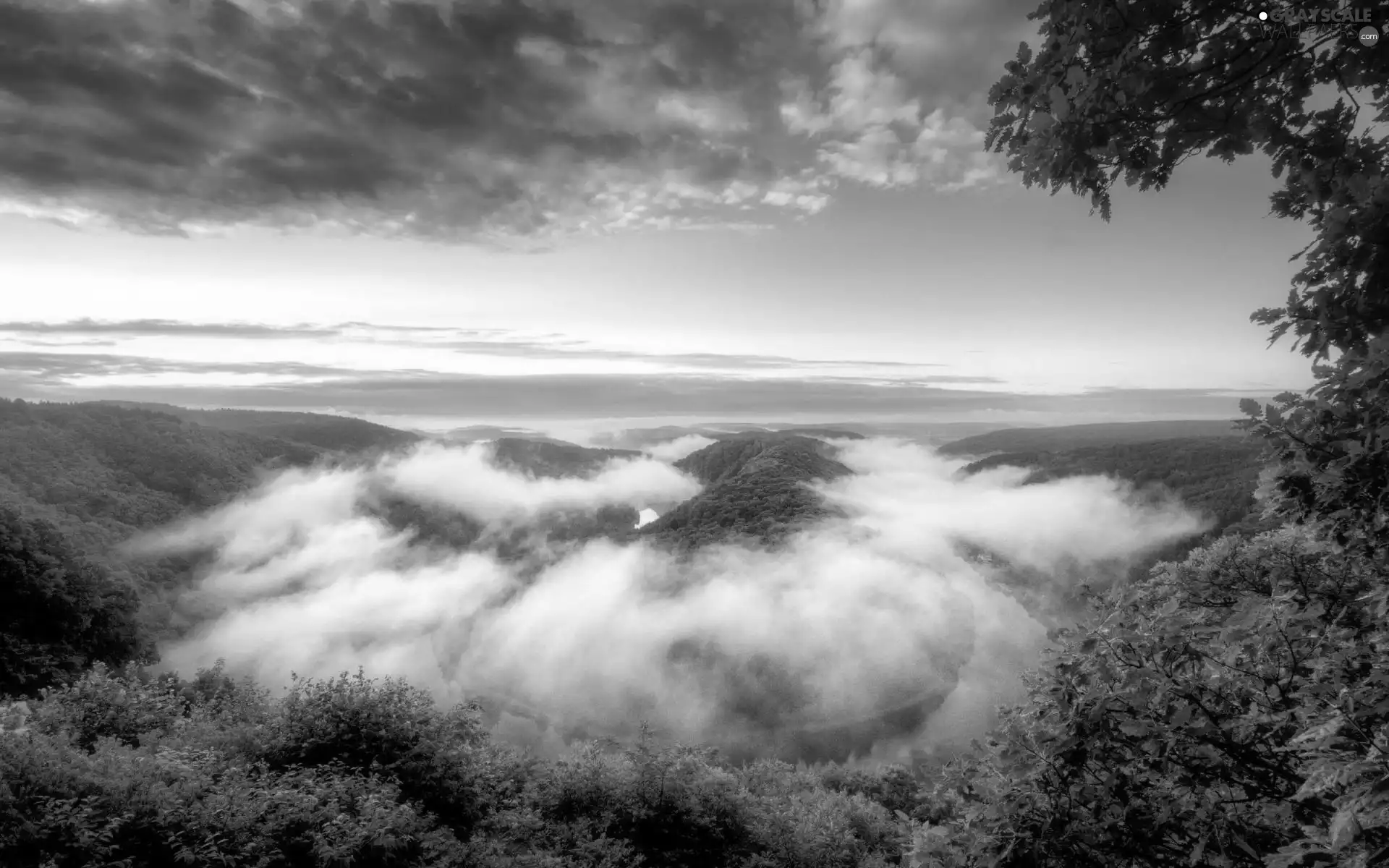 clouds, trees, viewes, Mountains