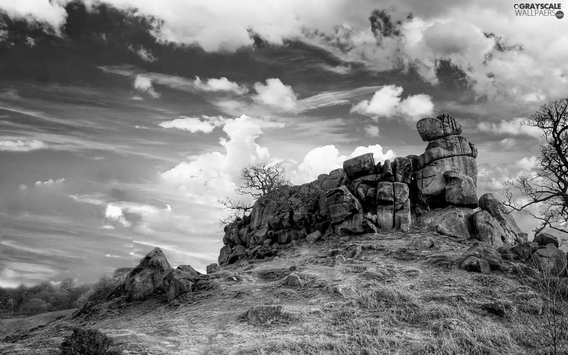 clouds, trees, viewes, rocks