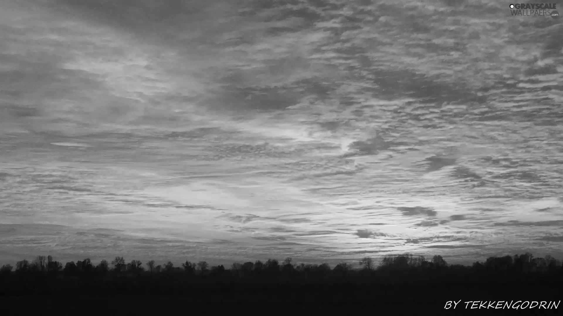 clouds, trees, viewes, Sky