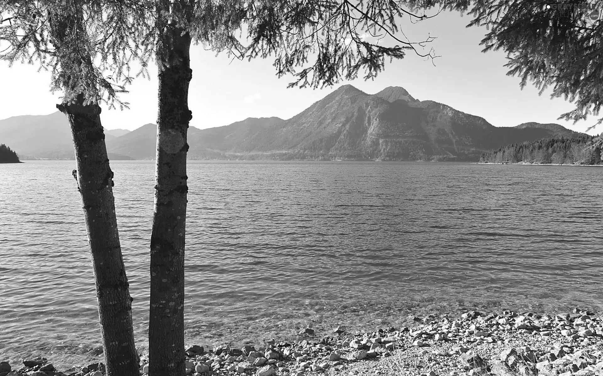 viewes, coast, lake, trees, Mountains