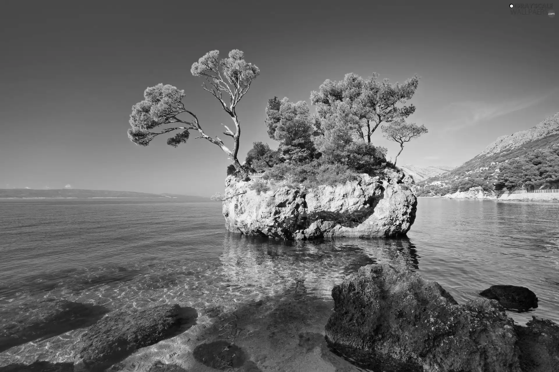 Coast, trees, viewes, Rocks