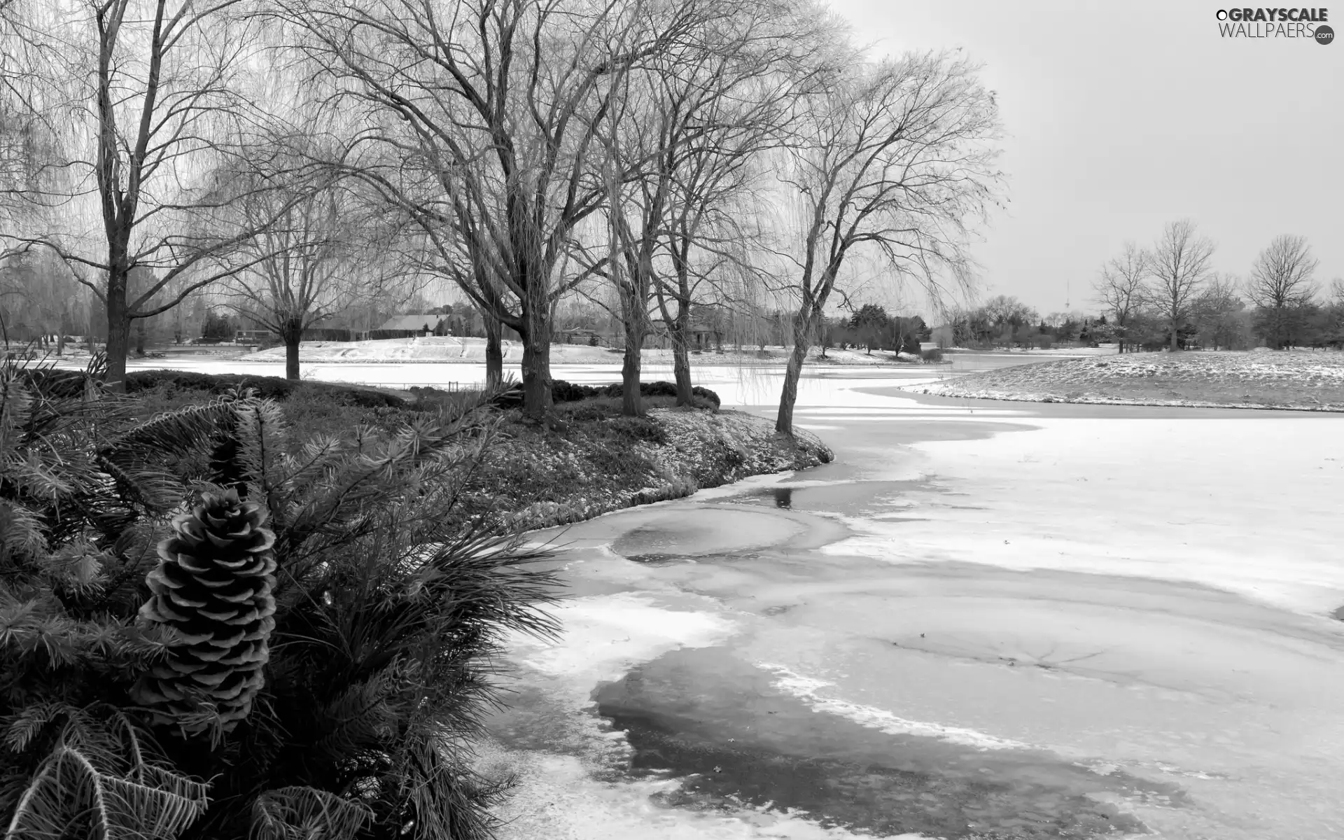 River, trees, cone, viewes, winter, snow, Houses