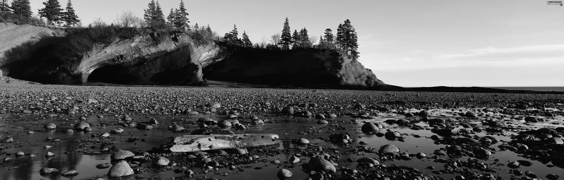 rocks, coast, viewes, Conifers, trees, Stones