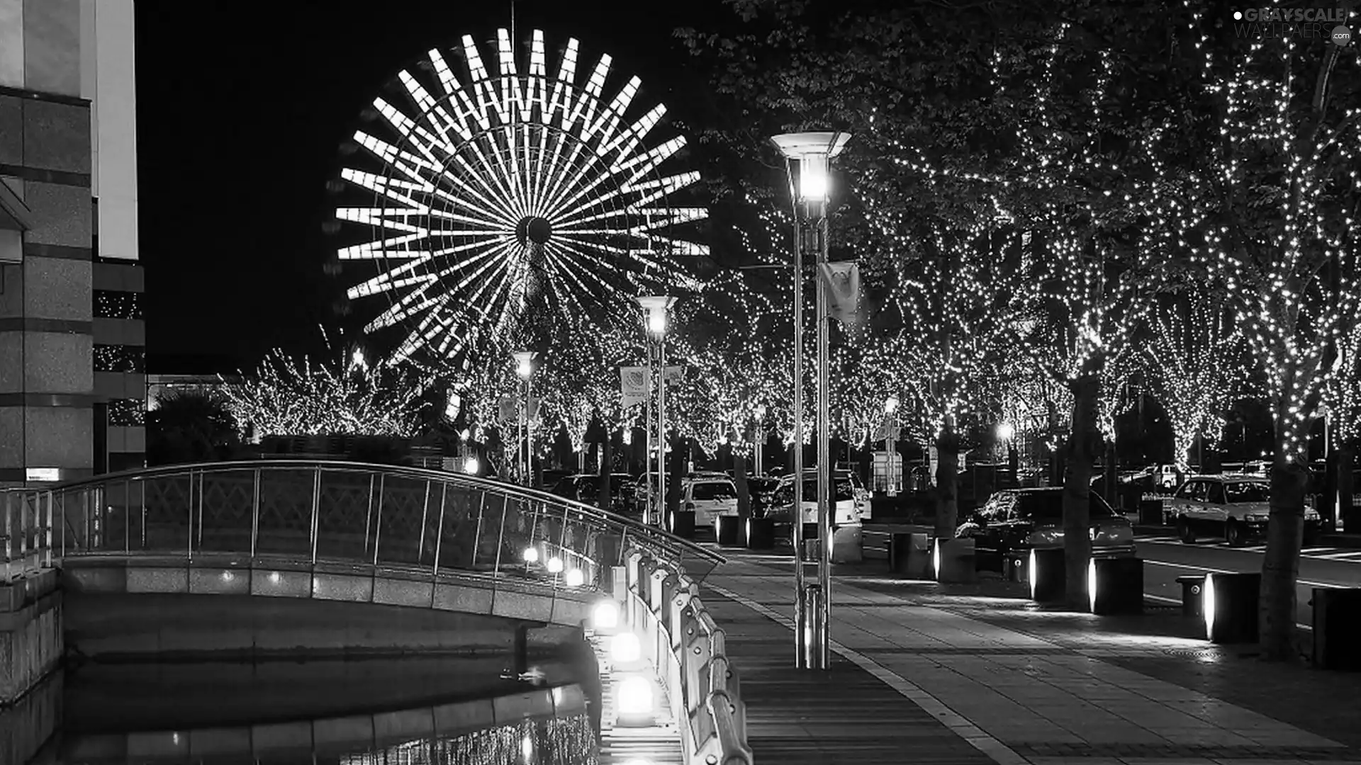 viewes, decor, night, trees, Tokio