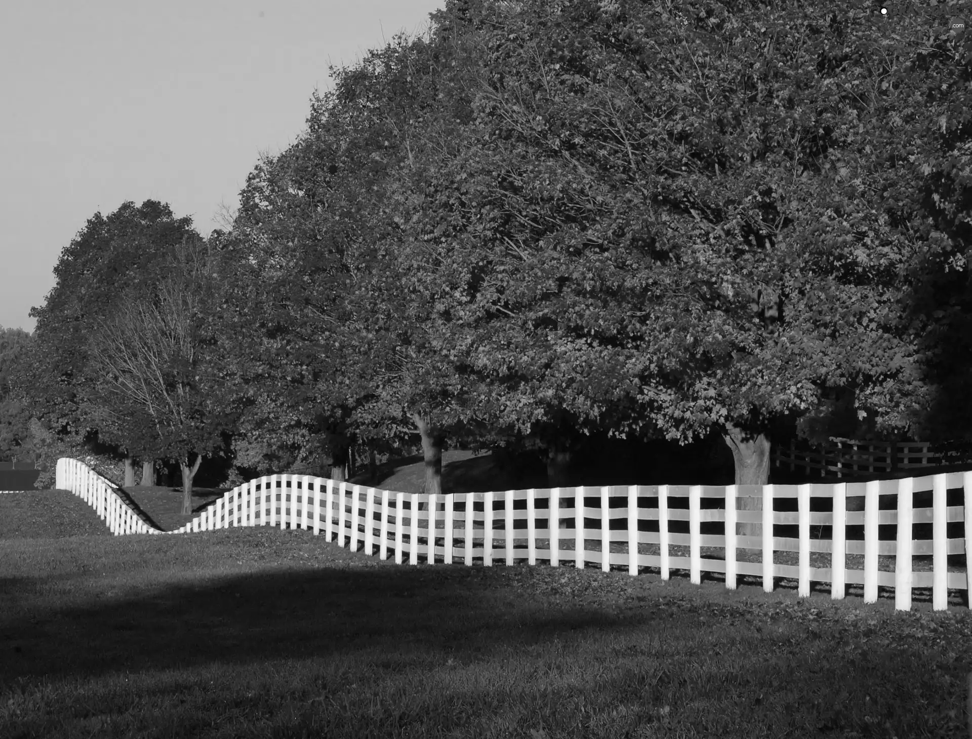 viewes, fence, Autumn, trees, beatyfull