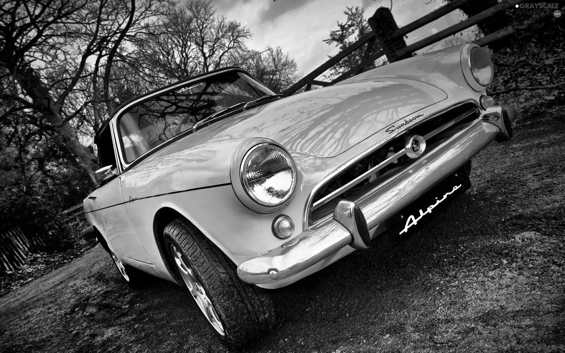 viewes, fence, backyard, trees, Sunbeam Alpine