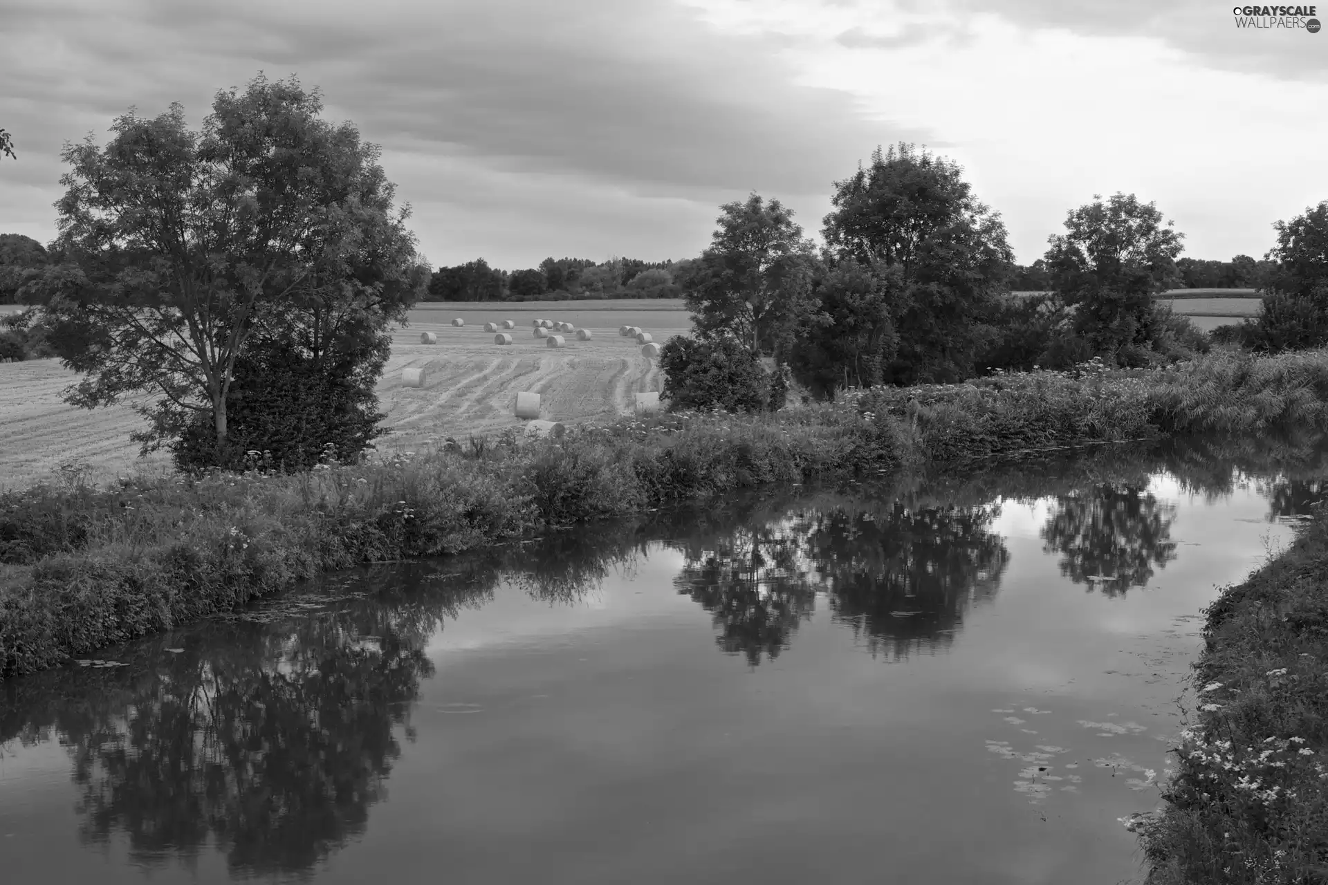 Field, trees, viewes, River