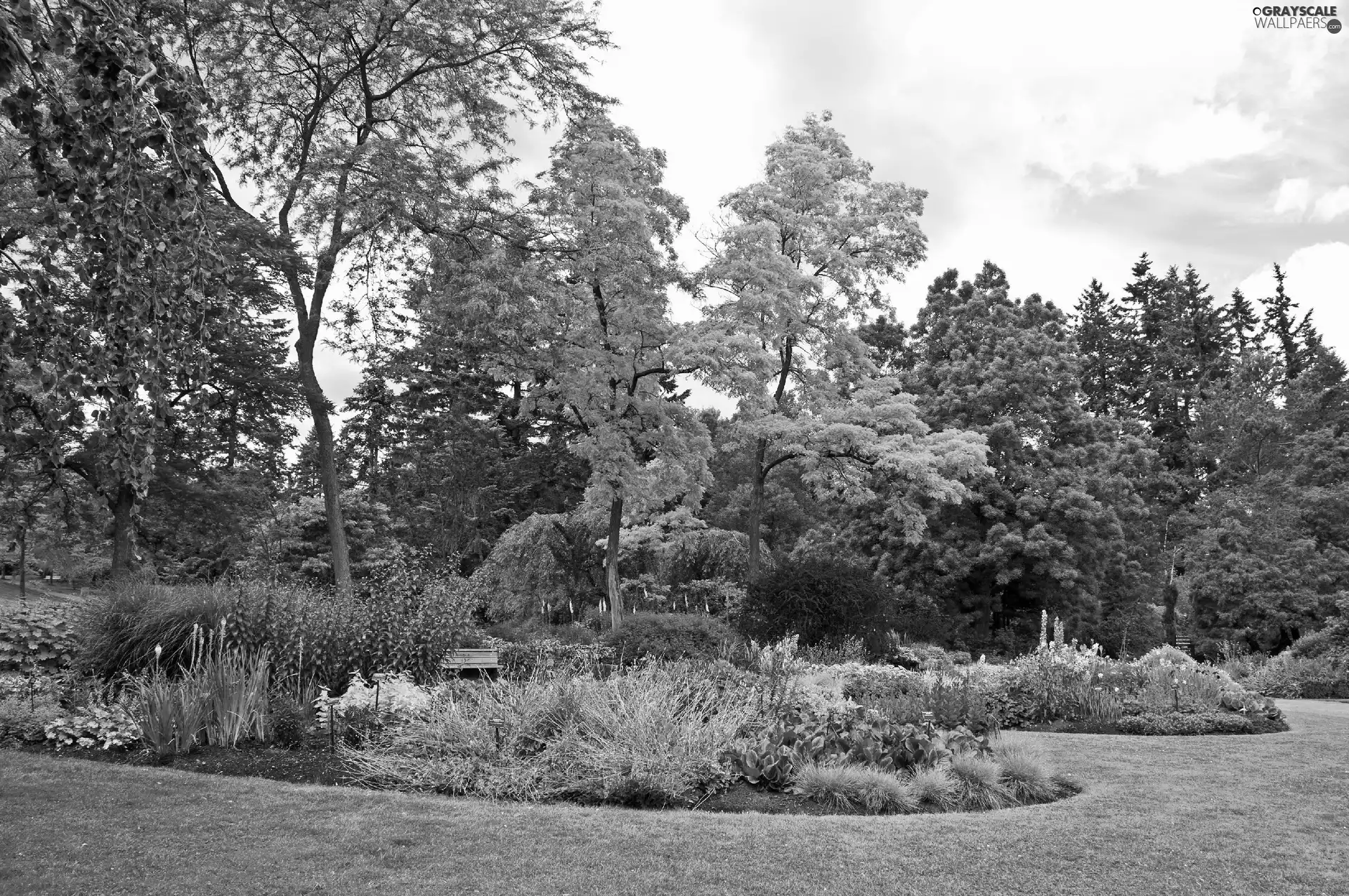 viewes, Park, Flowers, Bench, Flower-beds, trees