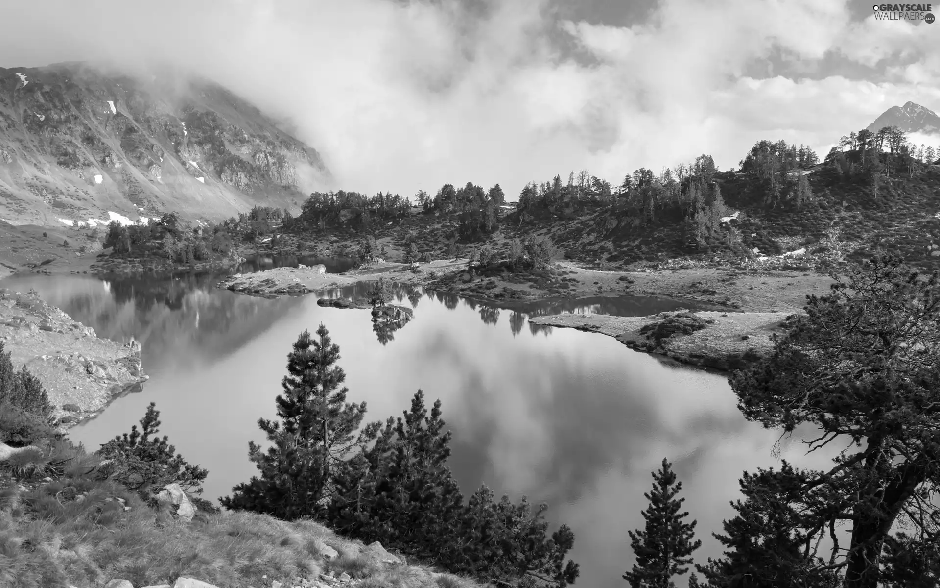 viewes, Fog, Mountains, trees, lake