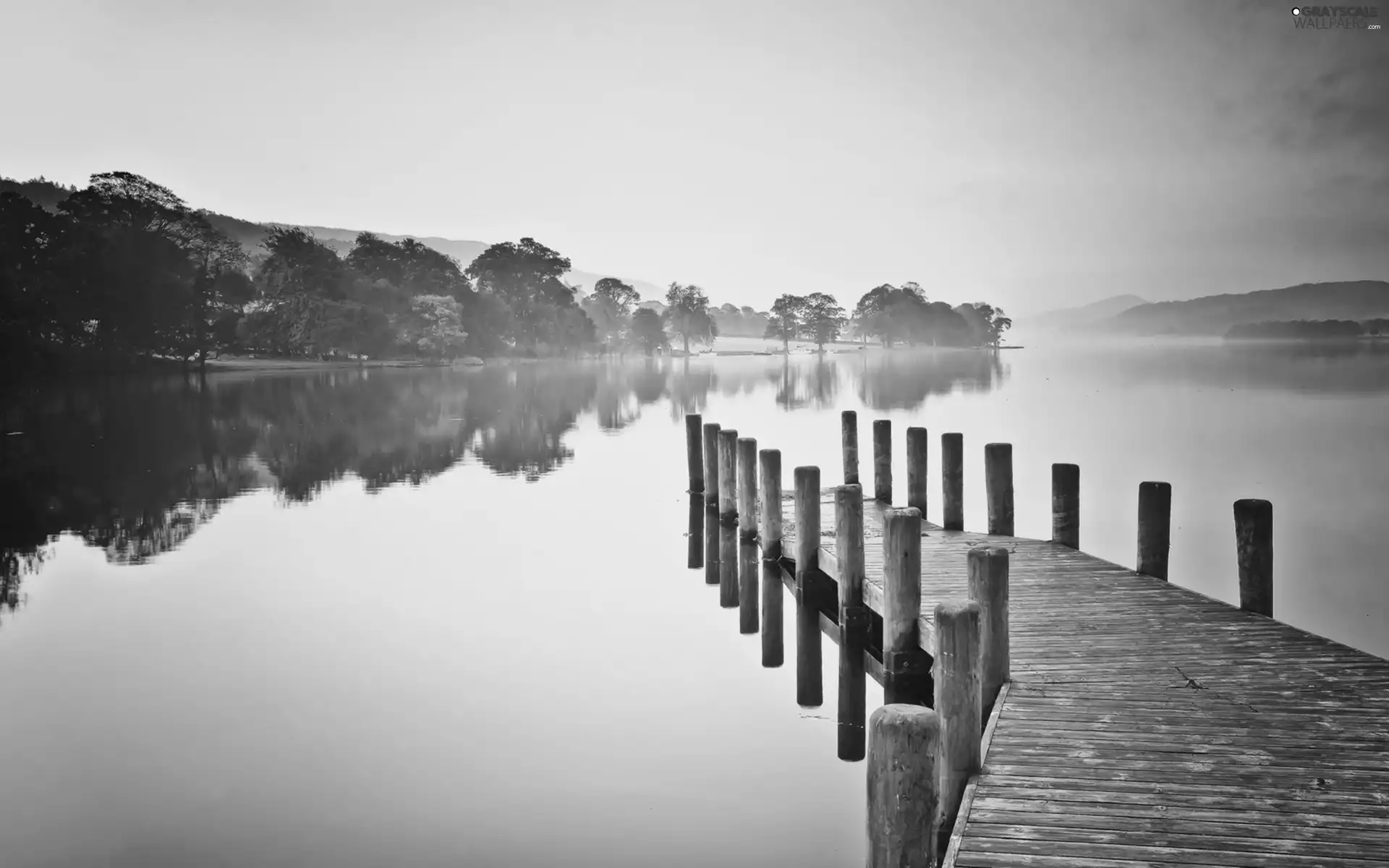 viewes, Fog, lake, trees, Platform