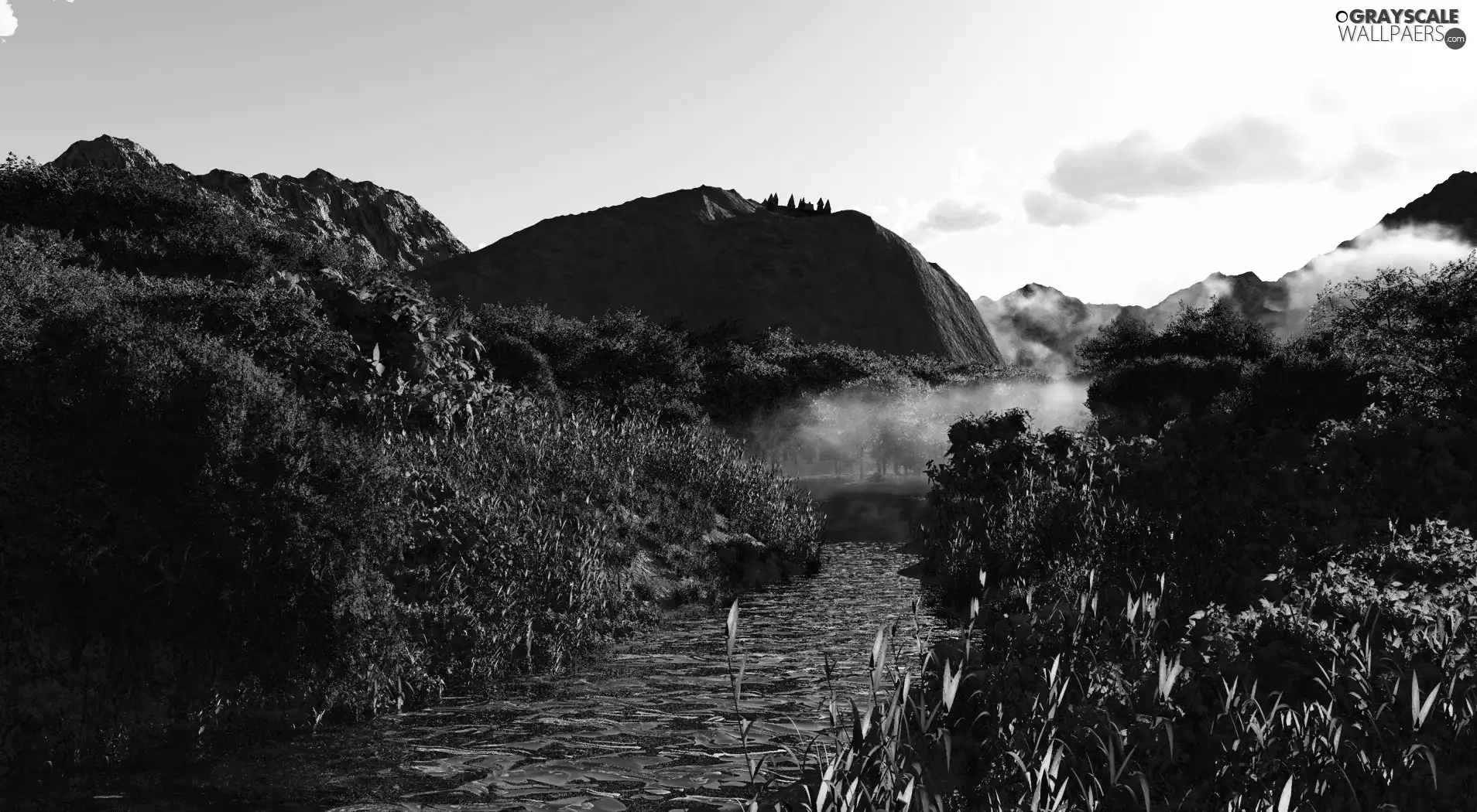 viewes, Fog, hills, trees, River