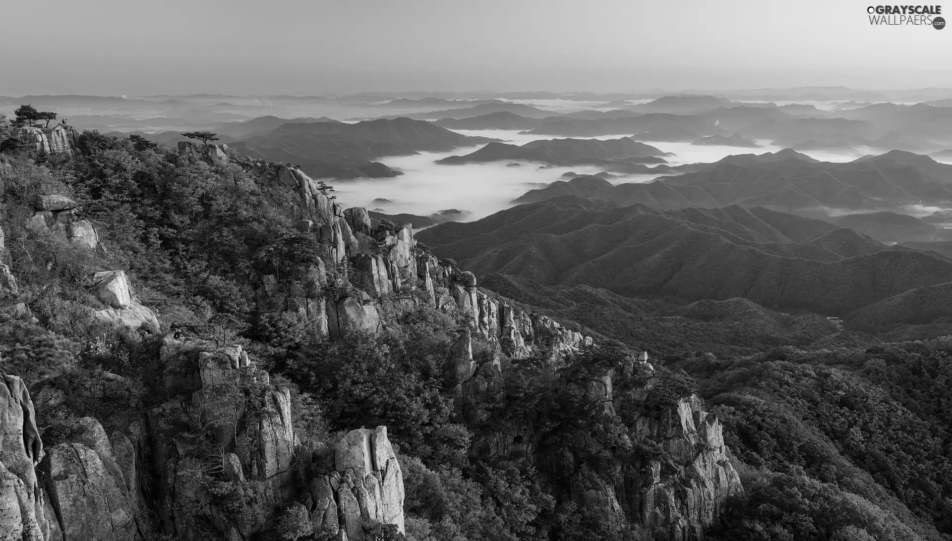 rocks, autumn, viewes, Fog, trees, Mountains