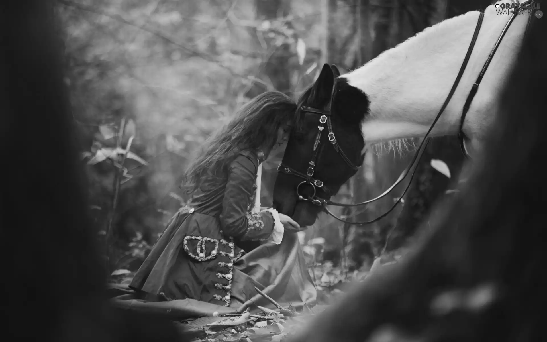 viewes, forest, Horse, trees, girl