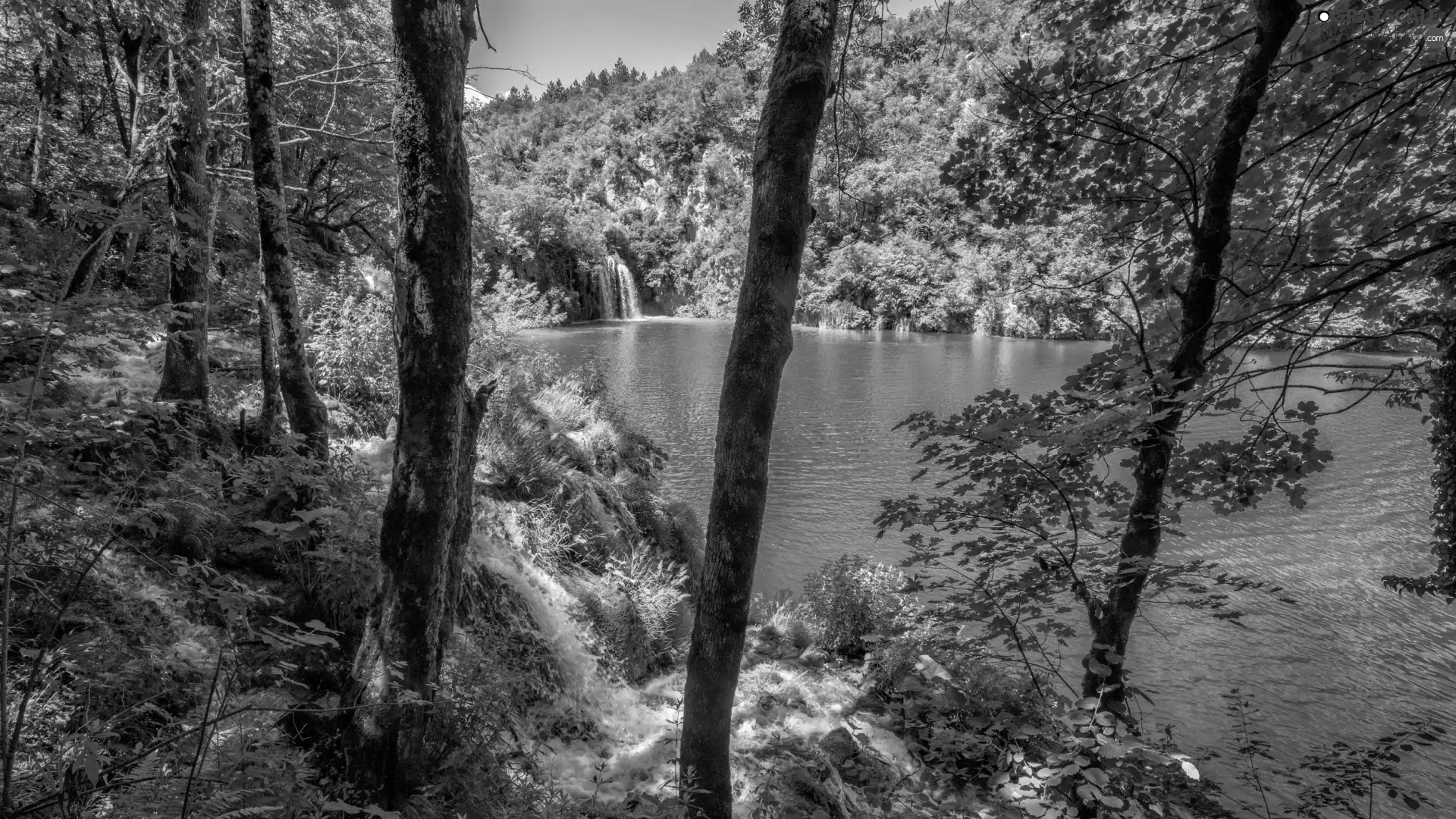 flux, lake, trees, viewes, waterfall, forest