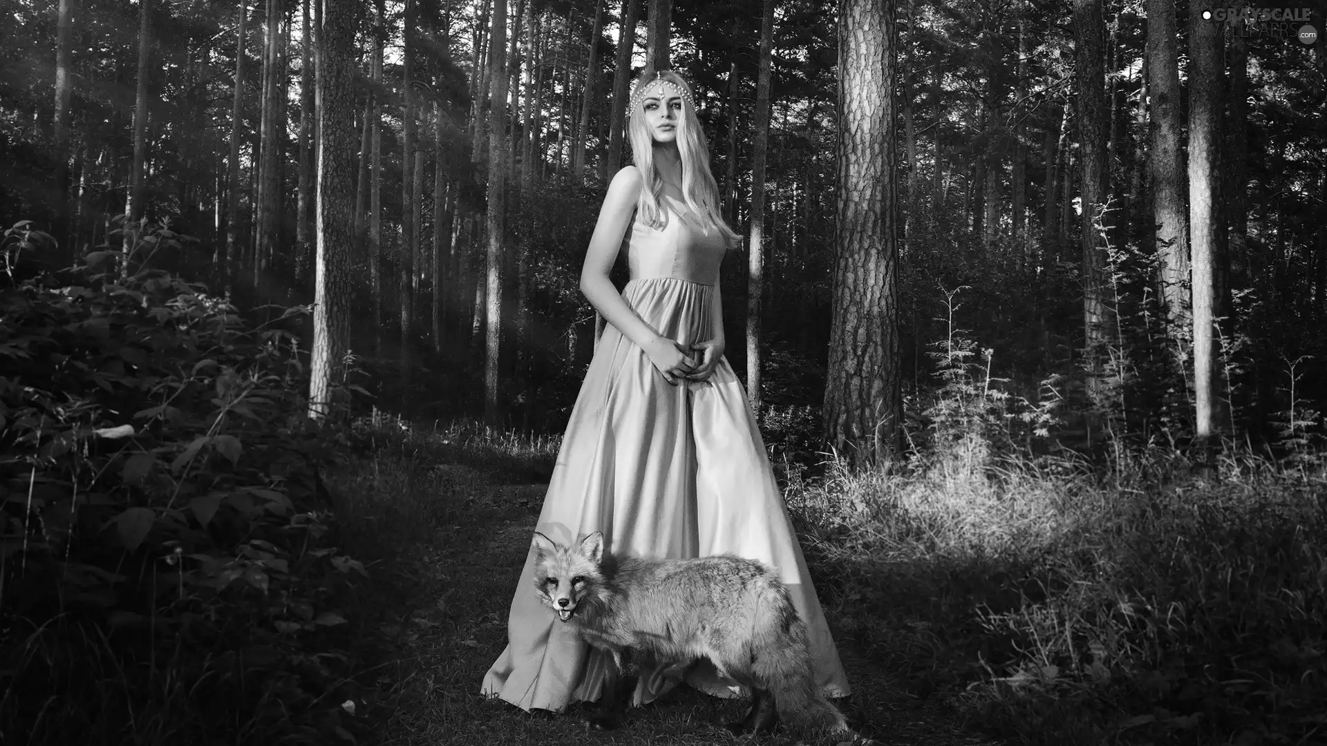 trees, viewes, forest, Fox, Women