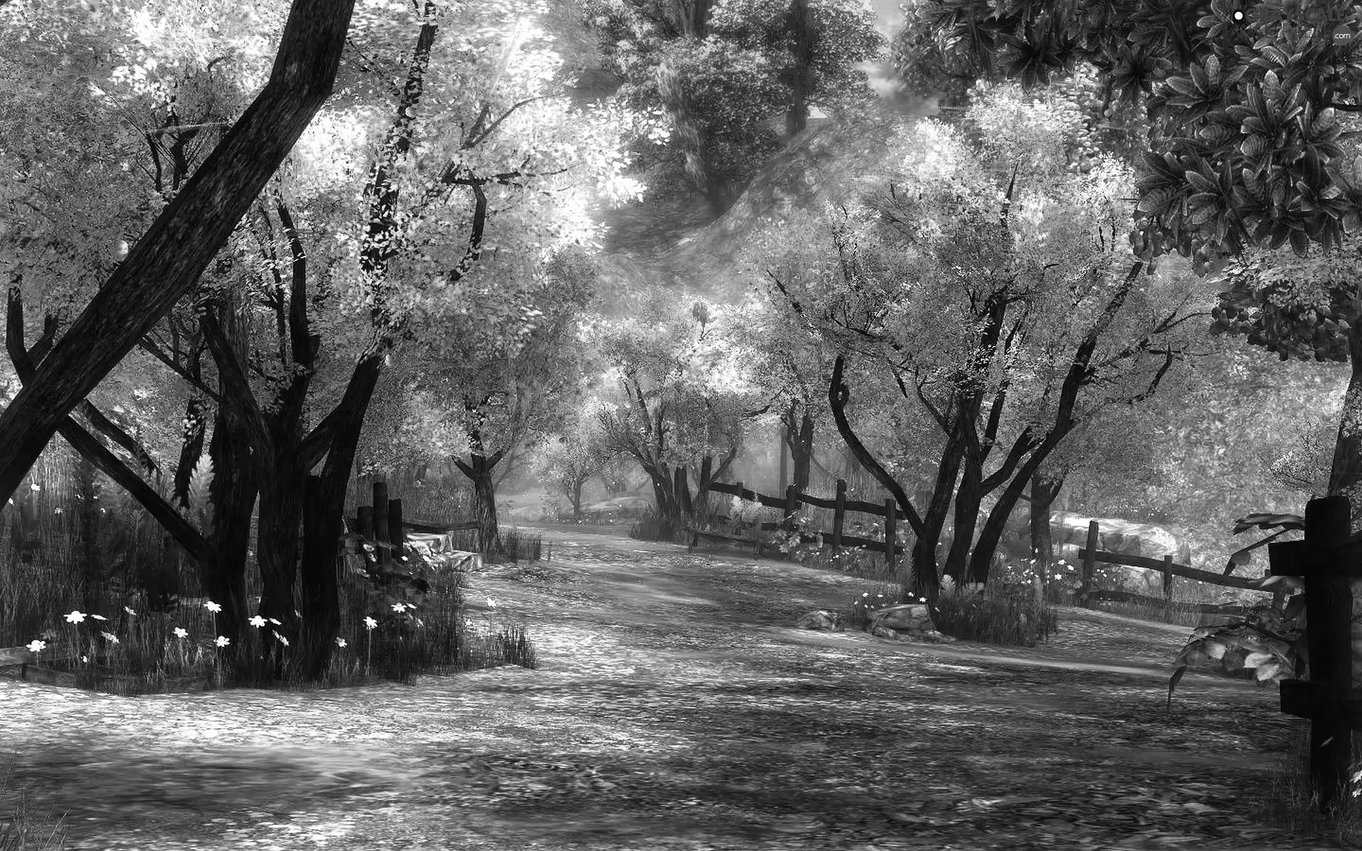 Garden, trees, viewes, flourishing