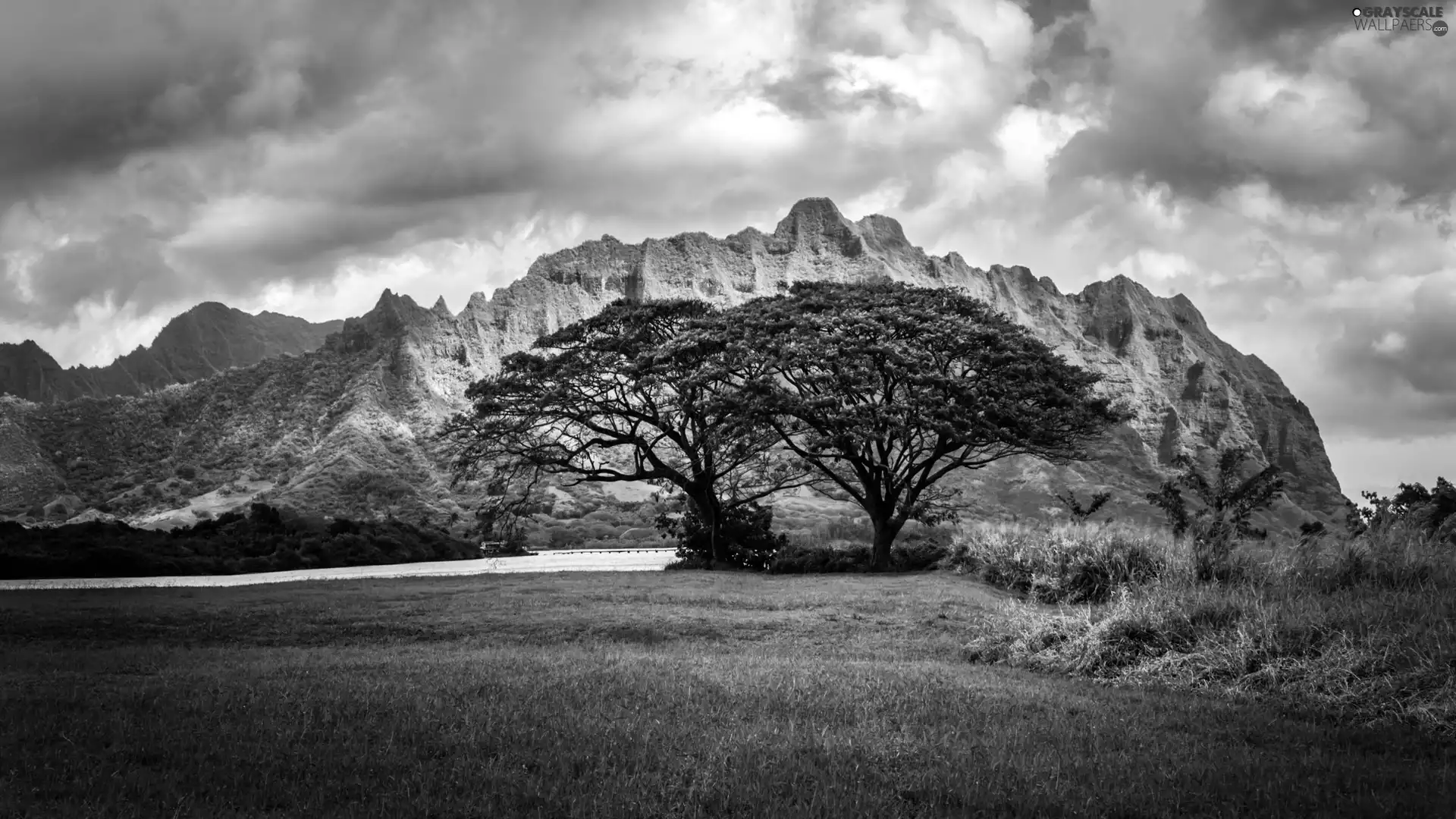 viewes, grass, Mountains, trees, clouds