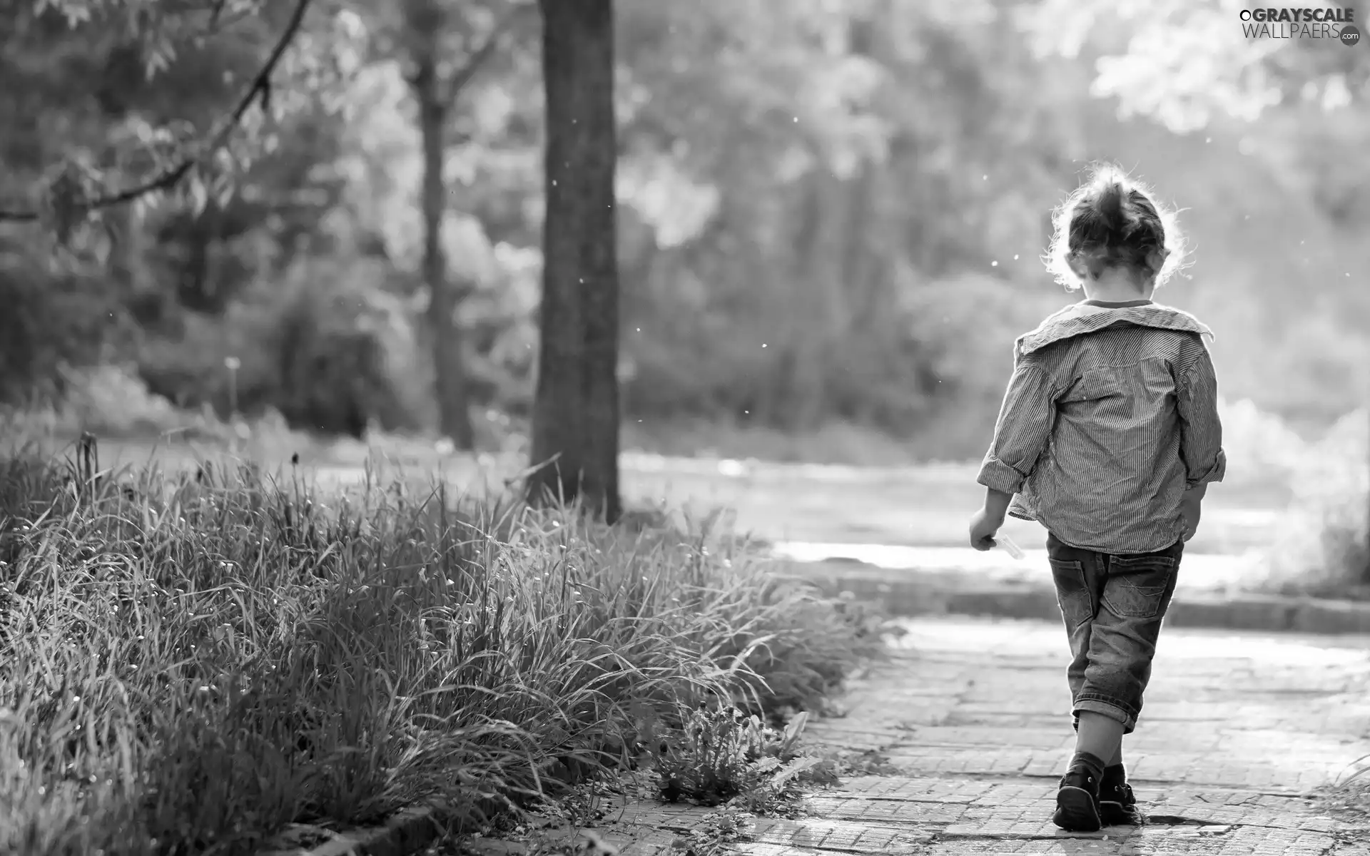 viewes, grass, Street, trees, girl