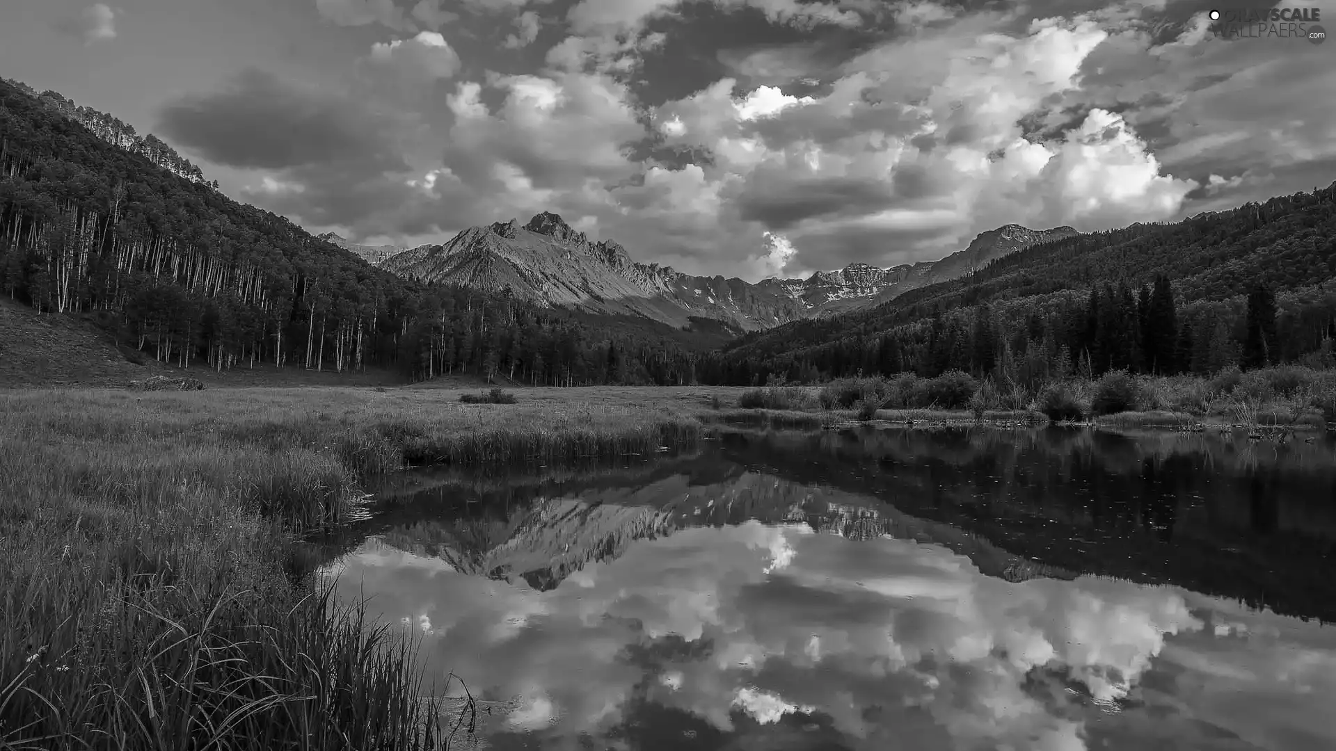 trees, clouds, reflection, lake, Mountains, viewes, grass