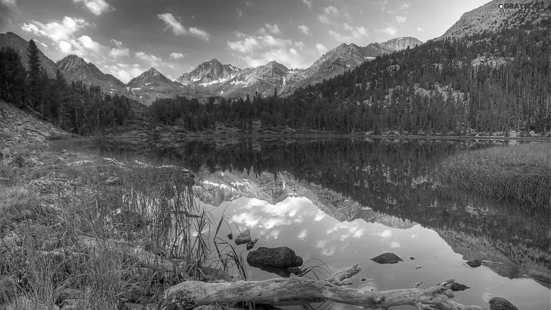 viewes, grass, Mountains, trees, lake