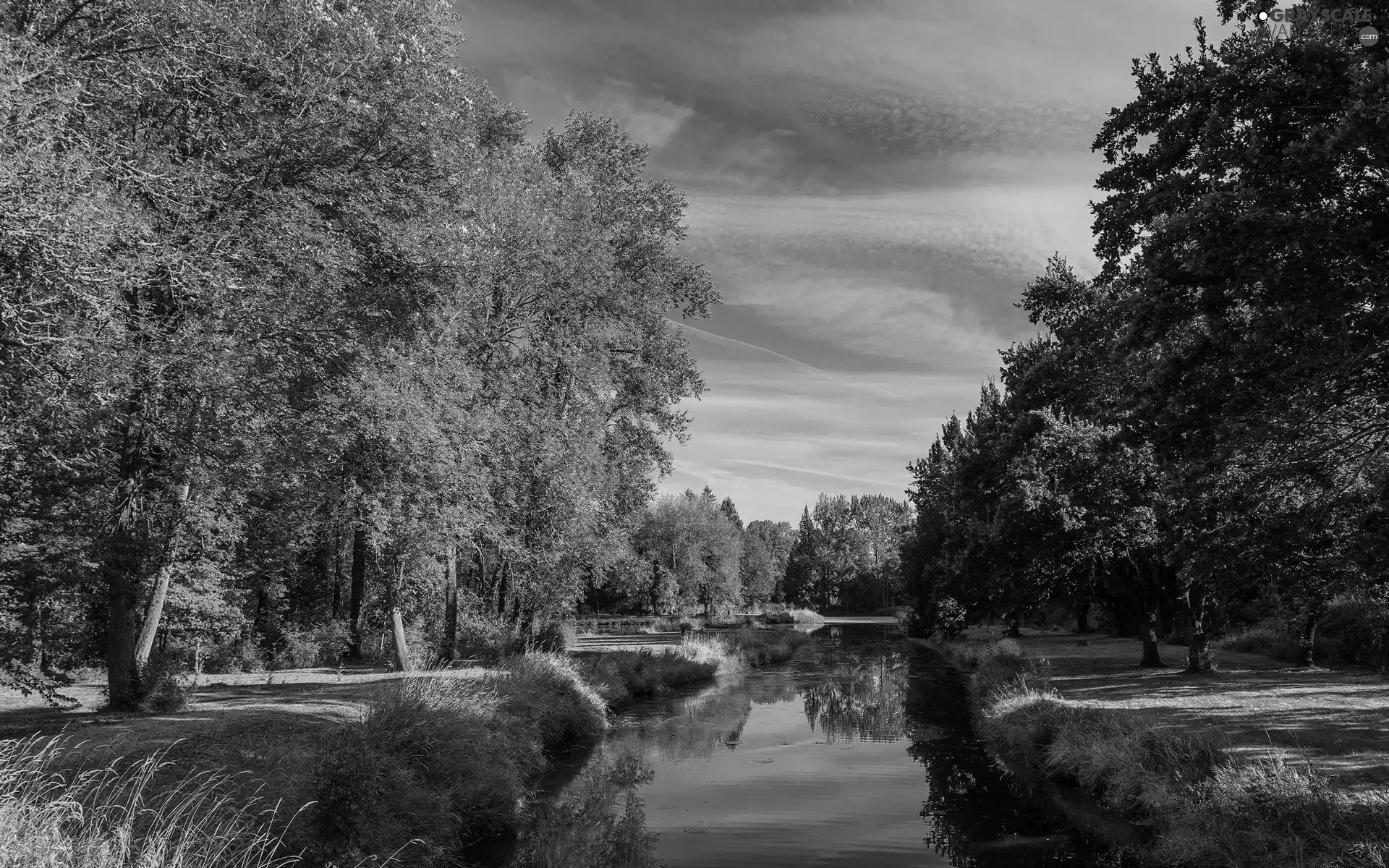 viewes, grass, River, trees, Park