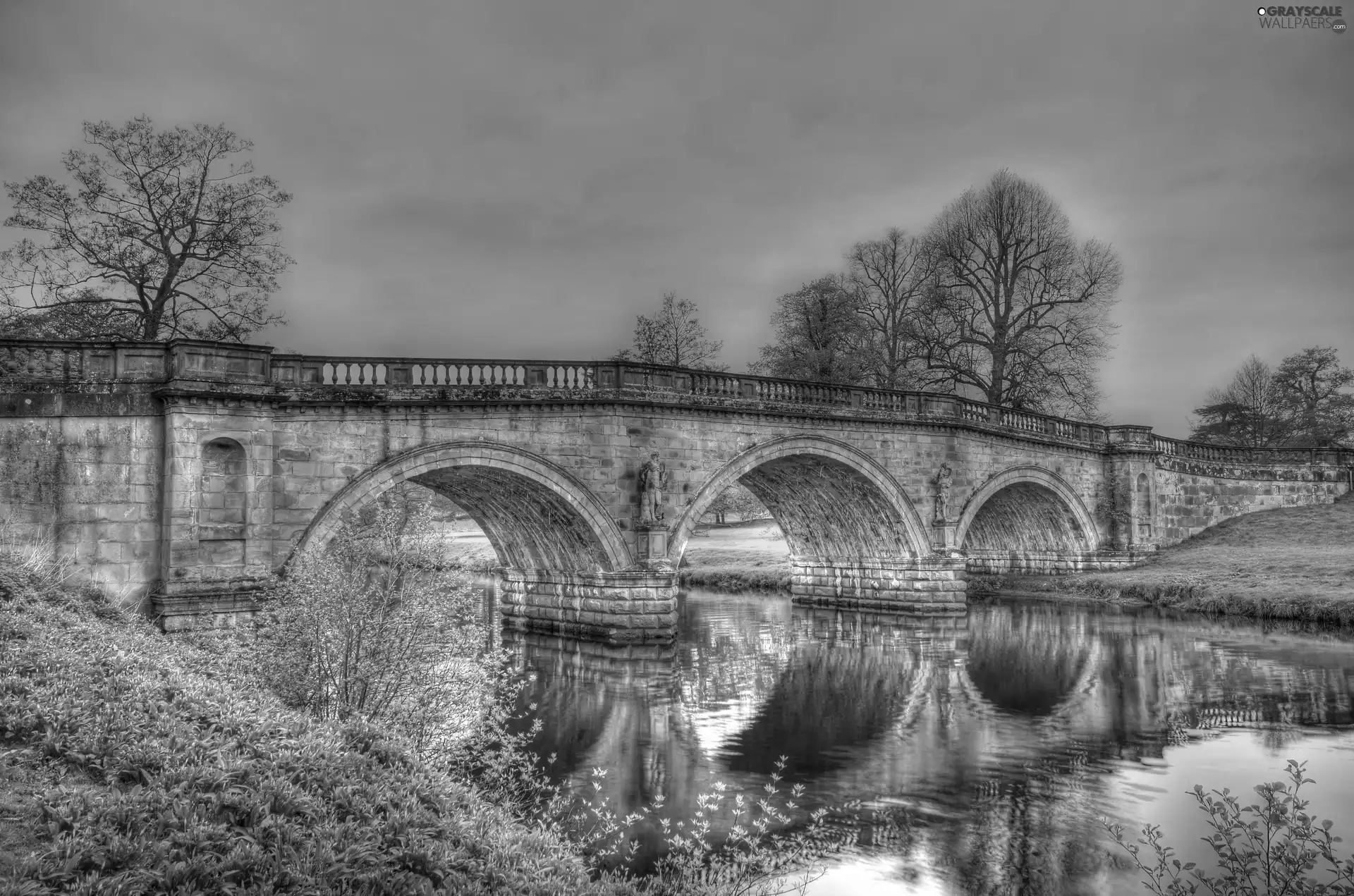 viewes, grass, bridge, trees, River