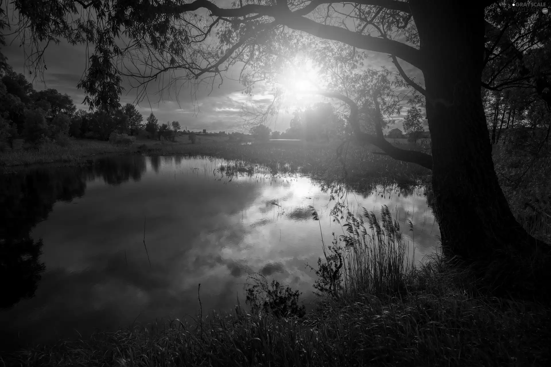 viewes, grass, Great Sunsets, trees, River