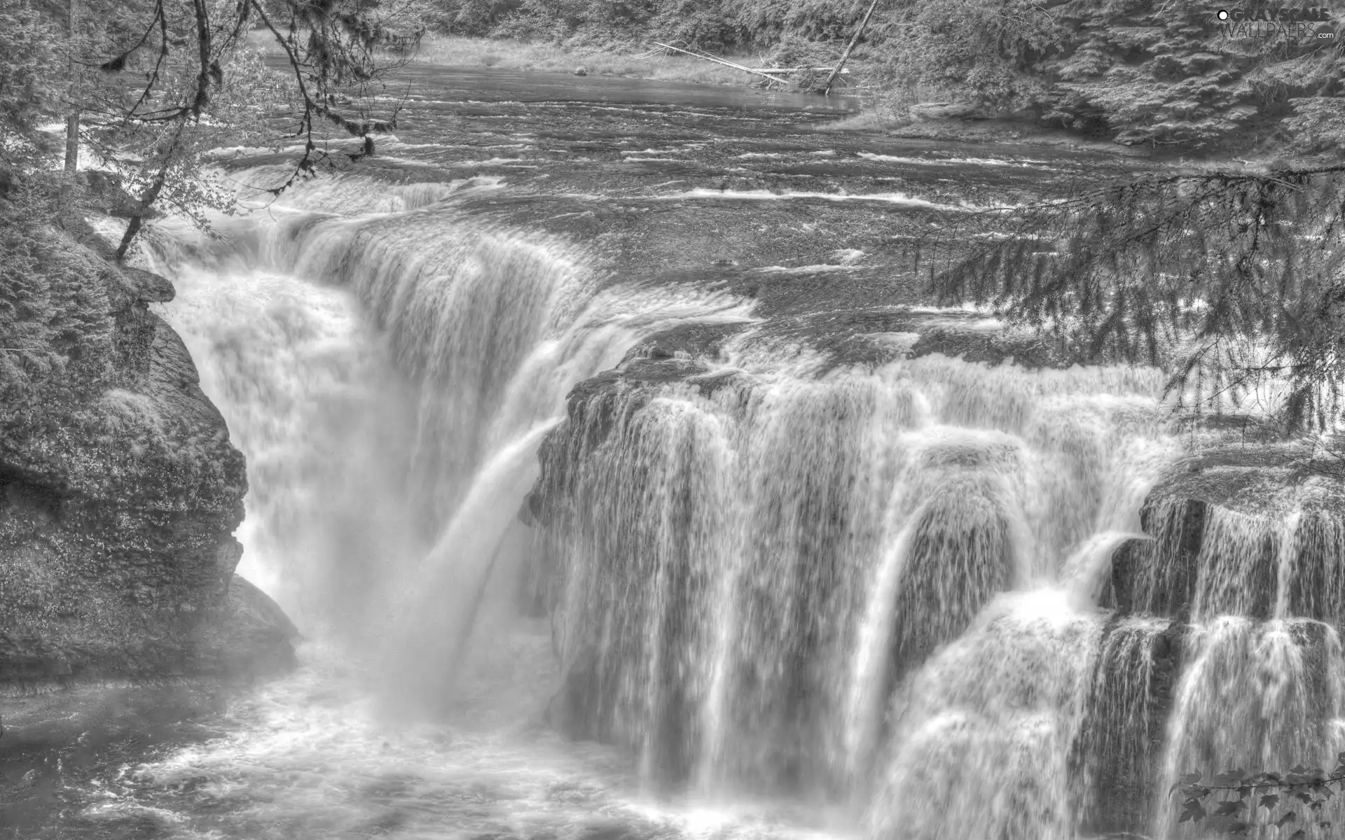 green, trees, viewes, waterfall