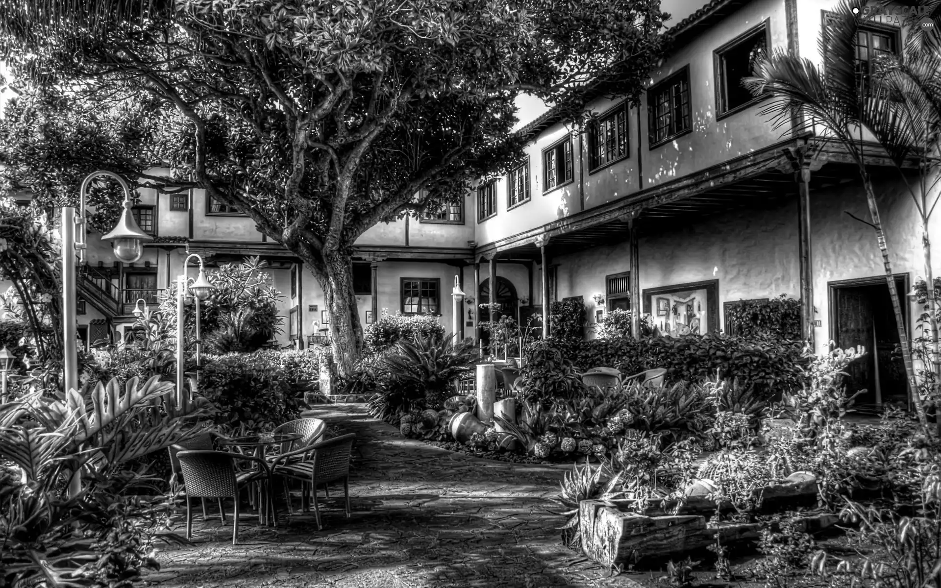 Flowers, house, viewes, HDR, trees, Garden