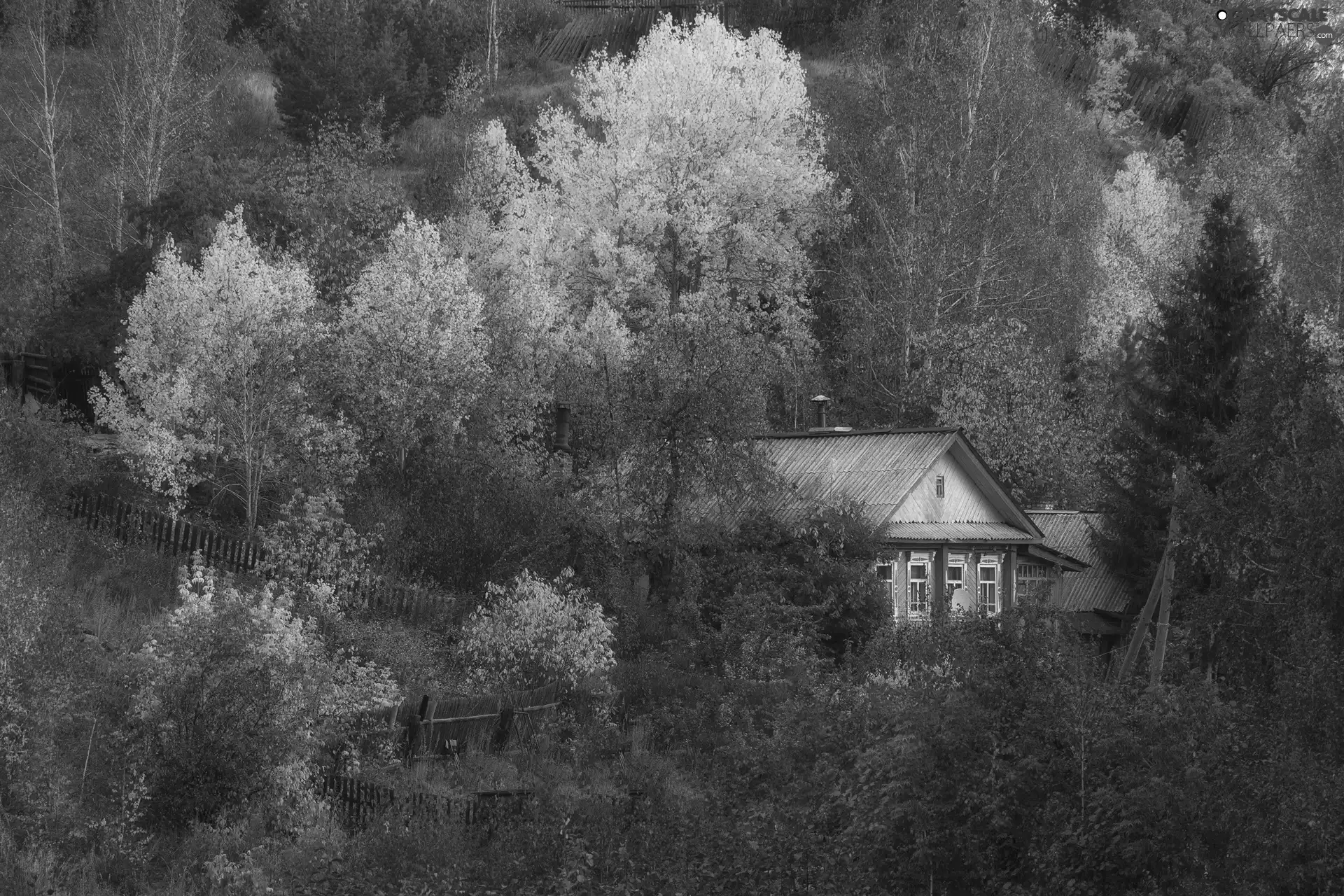 house, trees, Hill, viewes, forest, fence, autumn