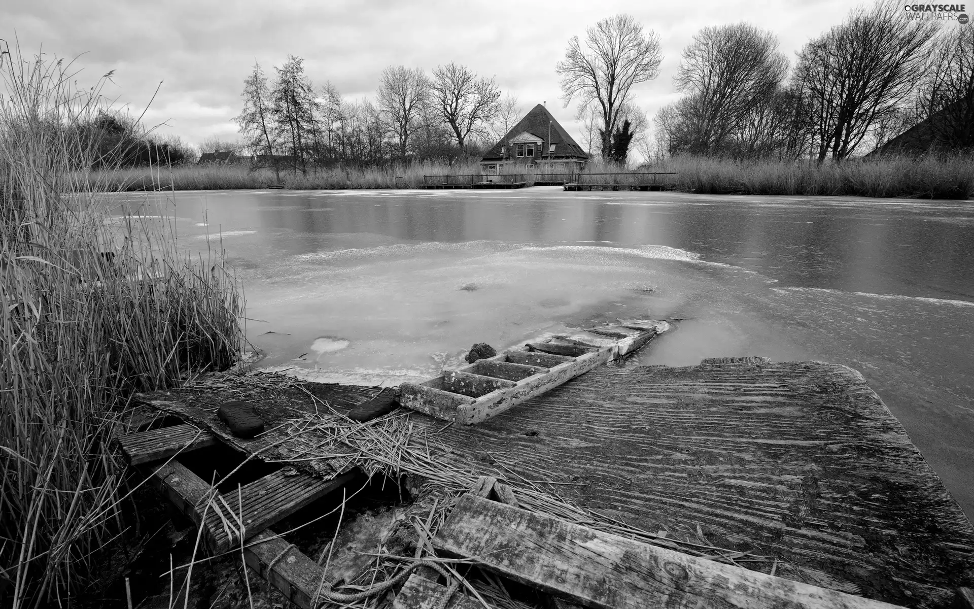 viewes, Home, rushes, trees, River