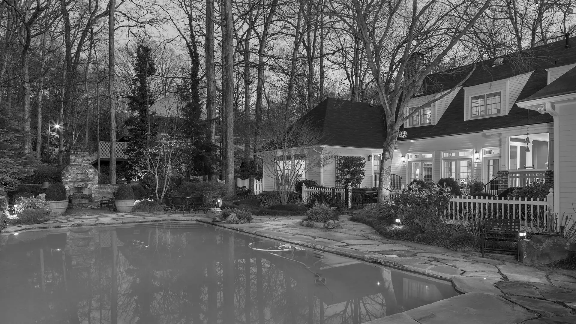 house, trees, viewes, Pool