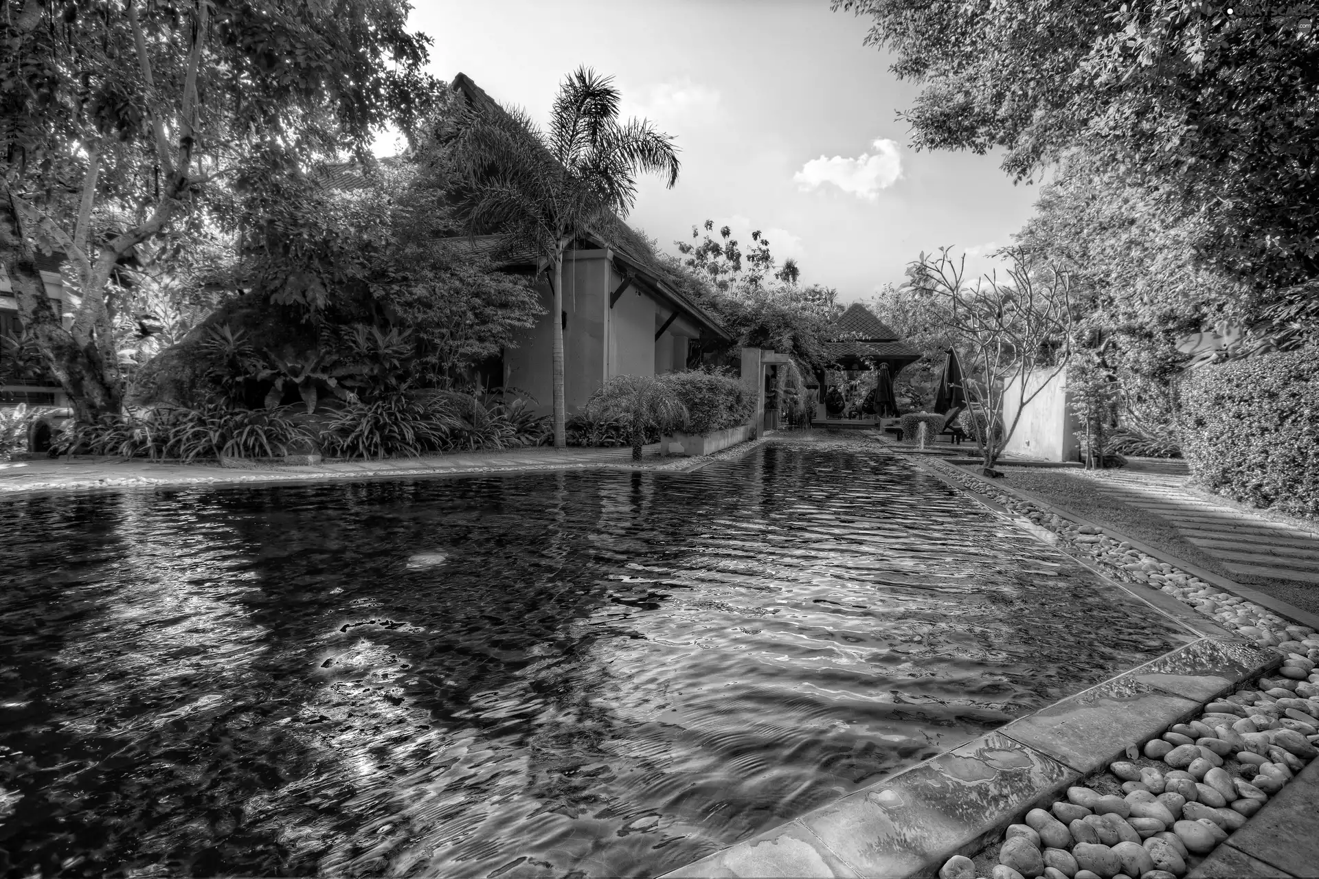 house, trees, viewes, Pool
