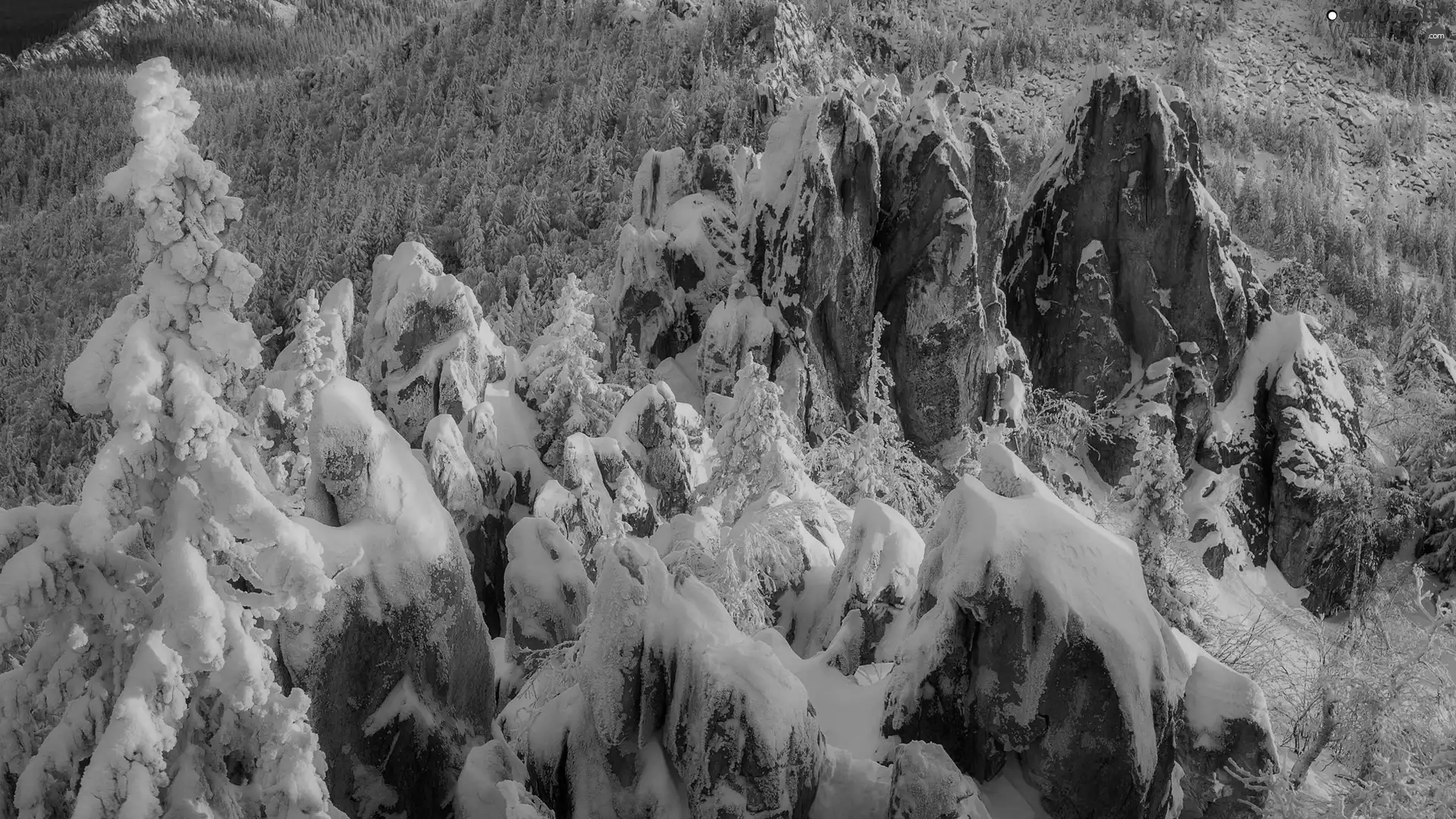 Snowy, winter, trees, viewes, rocks, illuminated